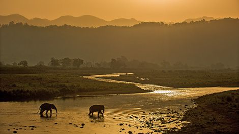  Jim Corbett