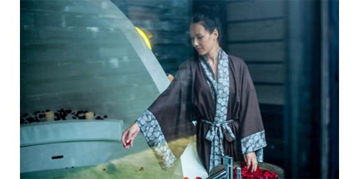 How the well travelled travel