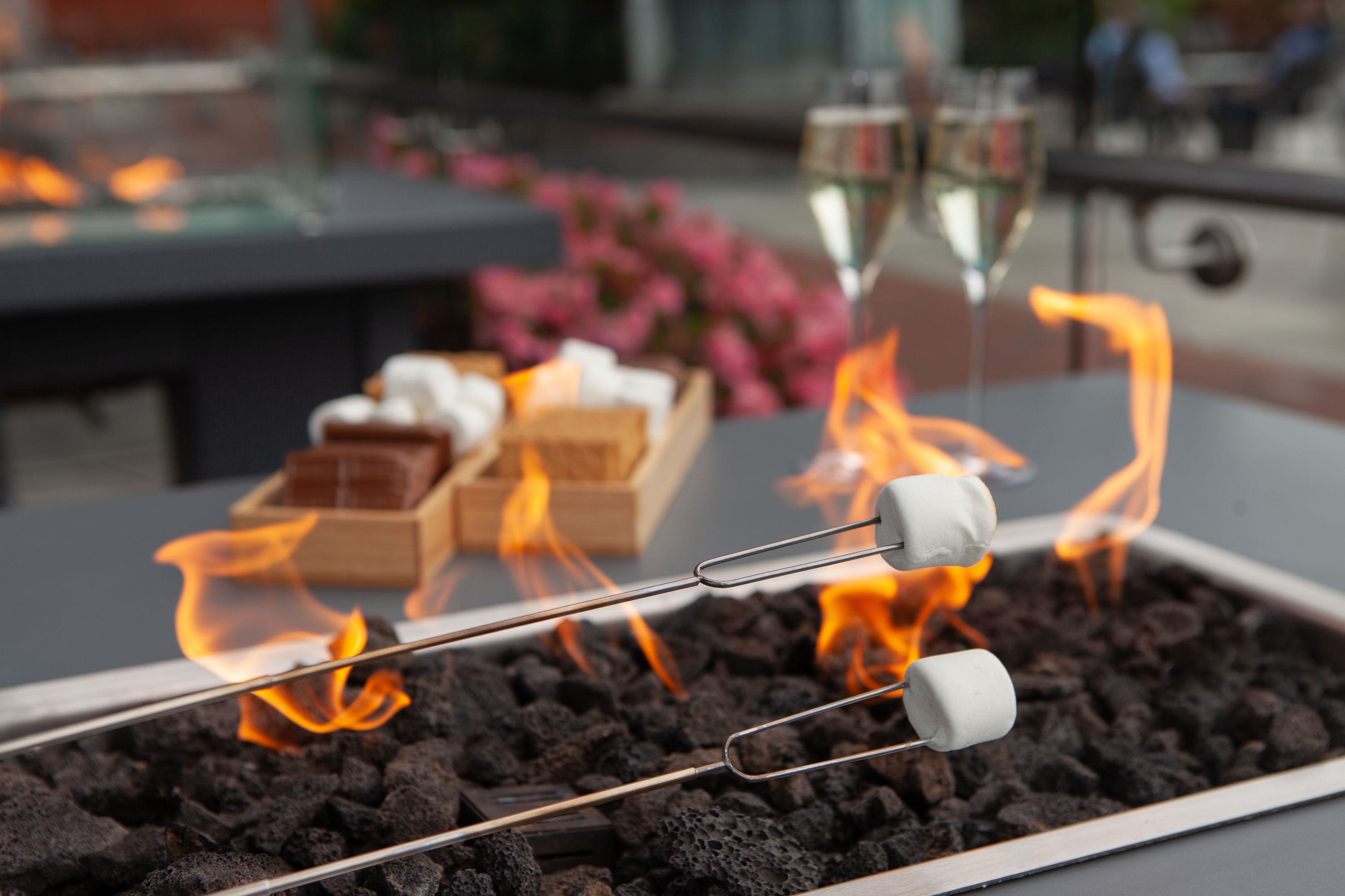 marshmallows roasting on an open fire