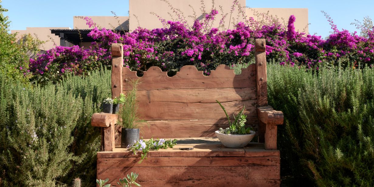 Decorative wooden bench with plant cuttings surrounded by herbs and flowers