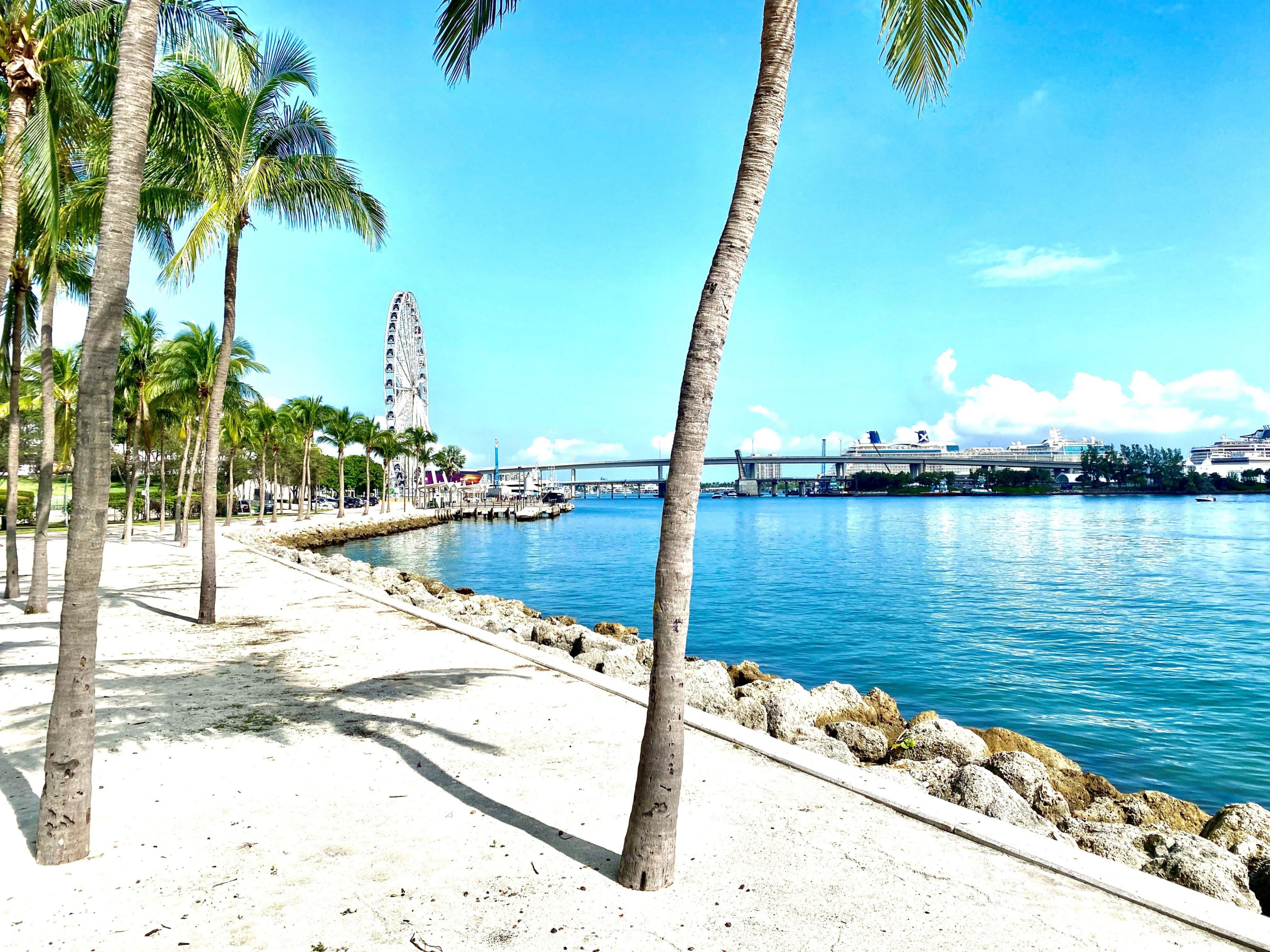 Activities on the shore