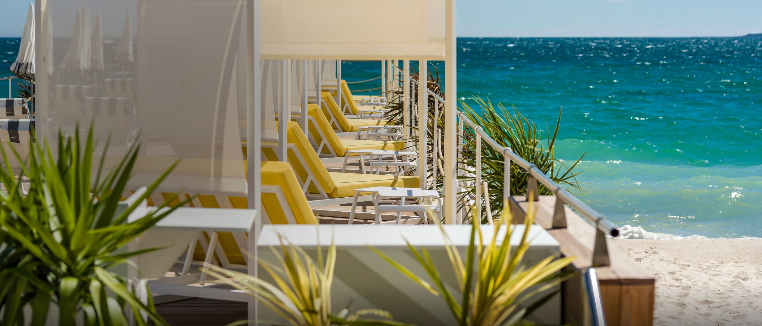 提前预订 惠享更多