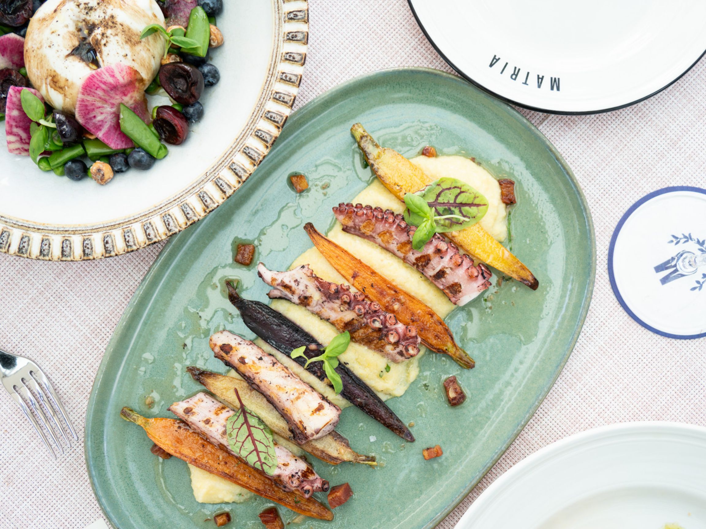 Grilled octopus served over creamy purée with roasted carrots and fresh herbs, photographed from above alongside a colorful seasonal salad on an elegantly set table..