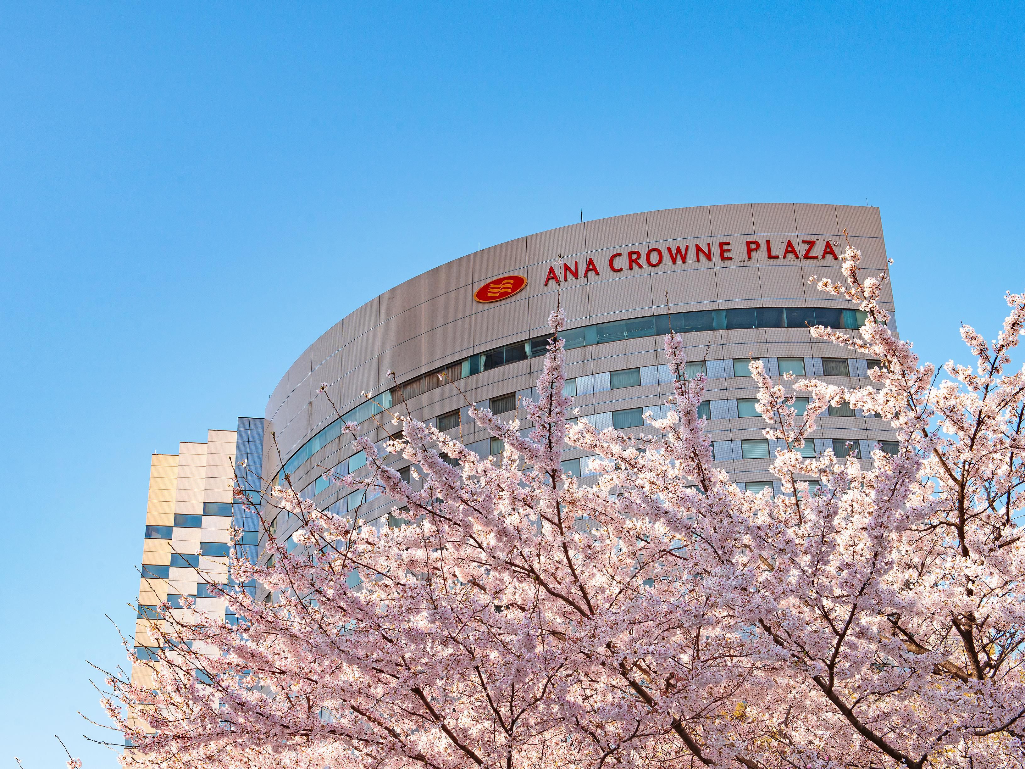 Hotel exterior in spring with beautiful cherry blossoms