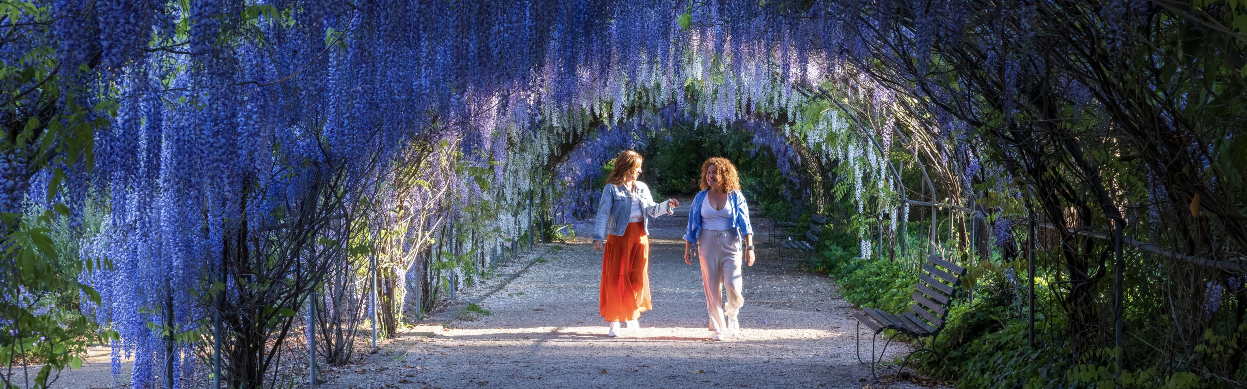 Adelaide Botanic Garden