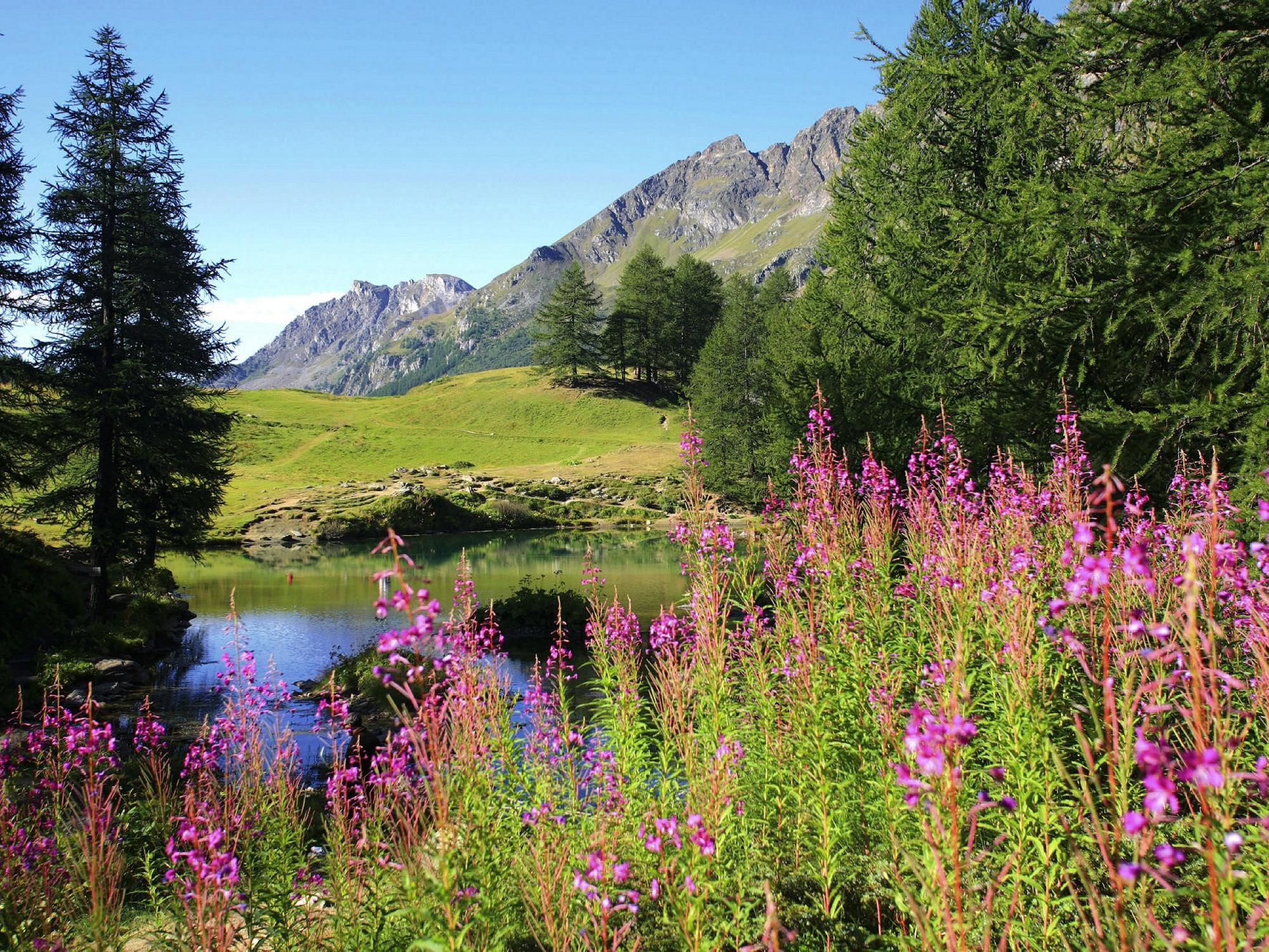 Crowne Plaza Anchorage is just minutes away from some of the most beautiful landscapes in the state. Enjoy the day exploring and then relax in one of our comfortable, clean rooms