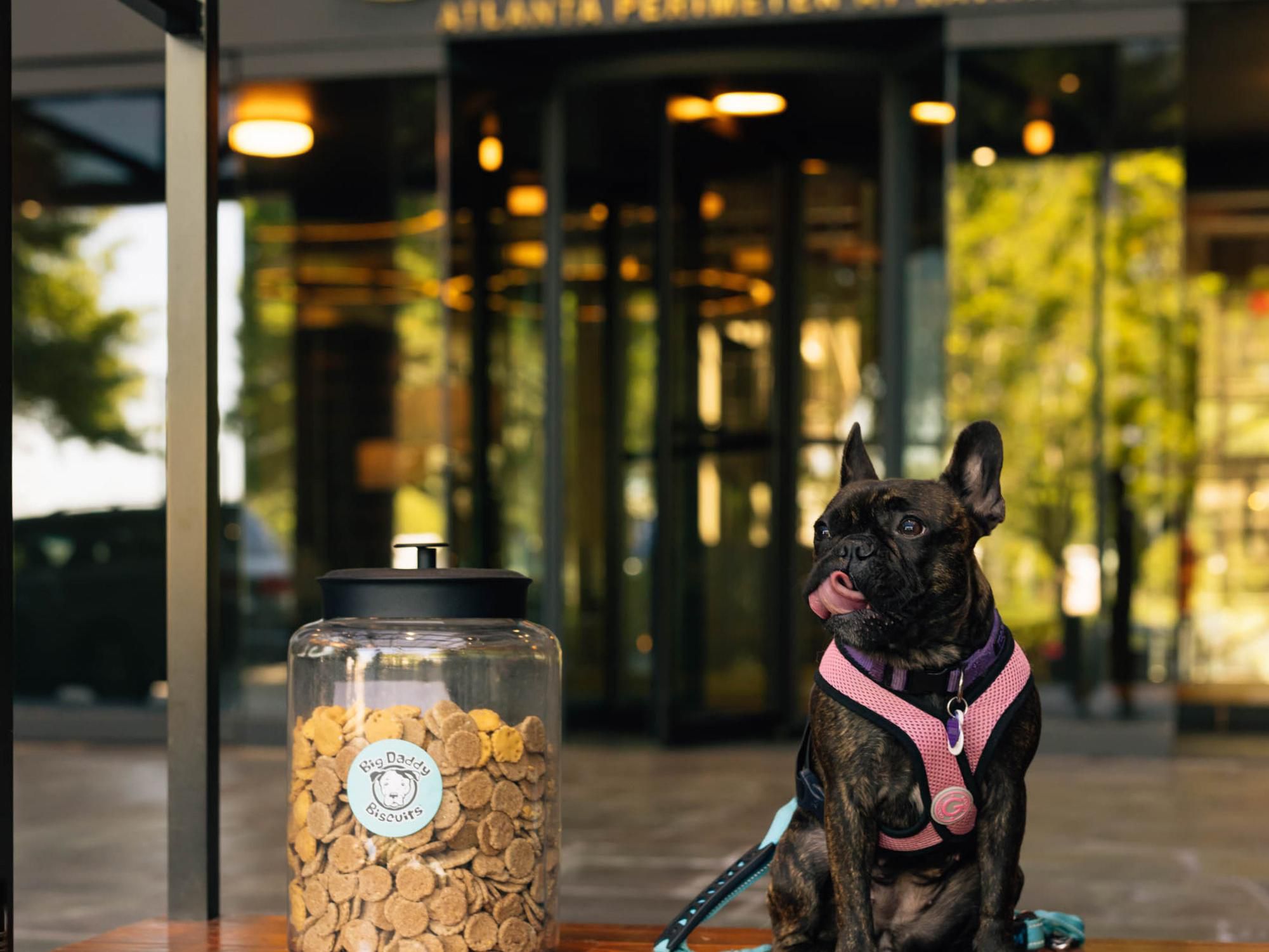 Travel with your furry companions and feel right at home. Our pet-friendly policy ensures all guests. two- and four-legged, feel welcome. With nearby parks, pet-friendly outdoor dining, and plenty of green space, it’s easy to explore, relax, and keep tails wagging in Dunwoody.