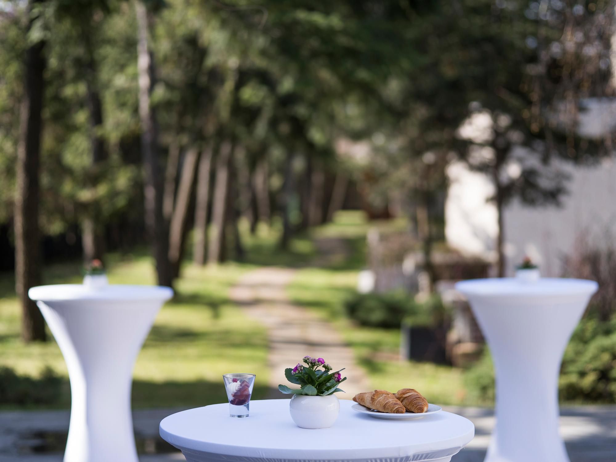 We can provide transportation to and from the main airport Henry Coanda, with private car or shuttle bus. Also, we can arrange transportation to any place in Bucharest, with prior reservation.