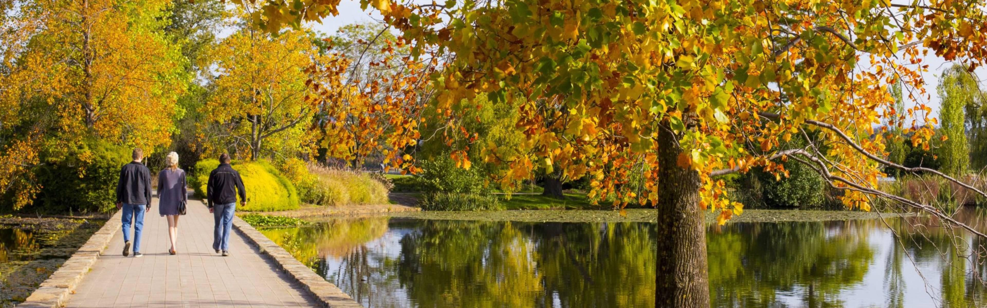 Couple walking in Commonwealth Park, Canberra