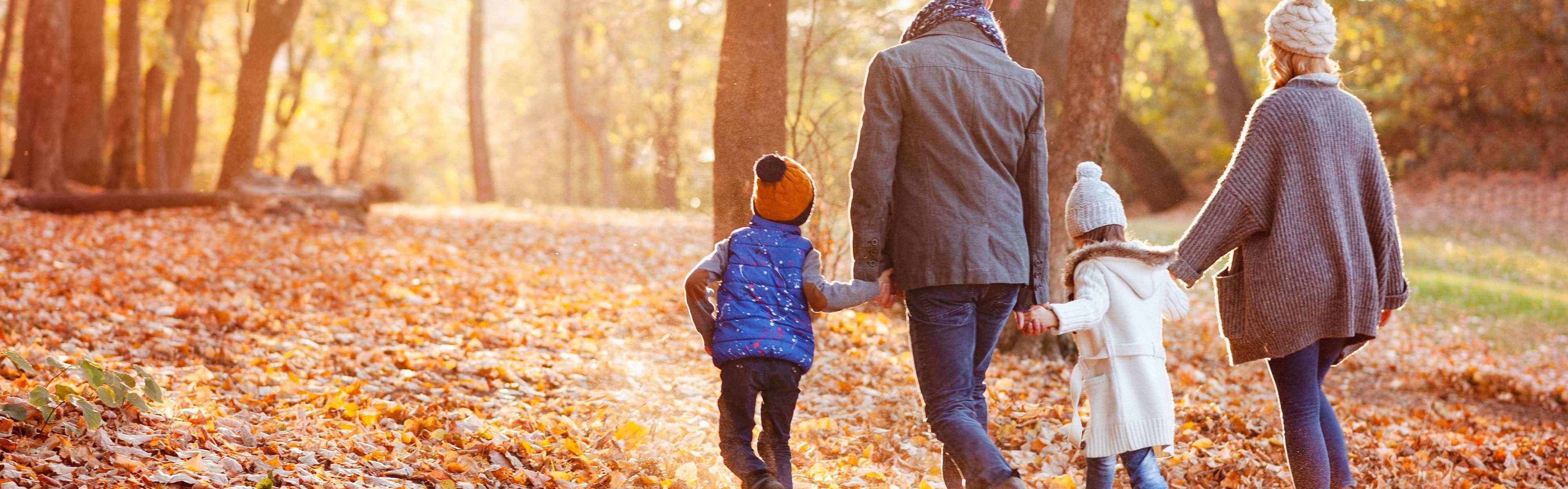 Beautiful walks just 10 mins drive from the hotel