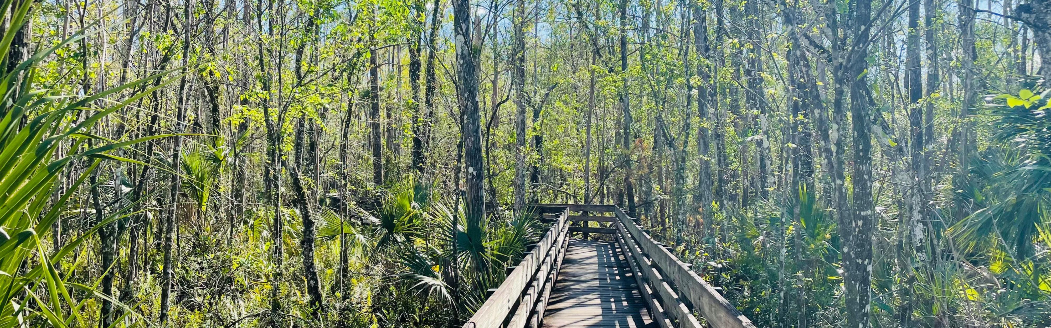 Explore the nearby Six Mile Cypress Slough Preserve.