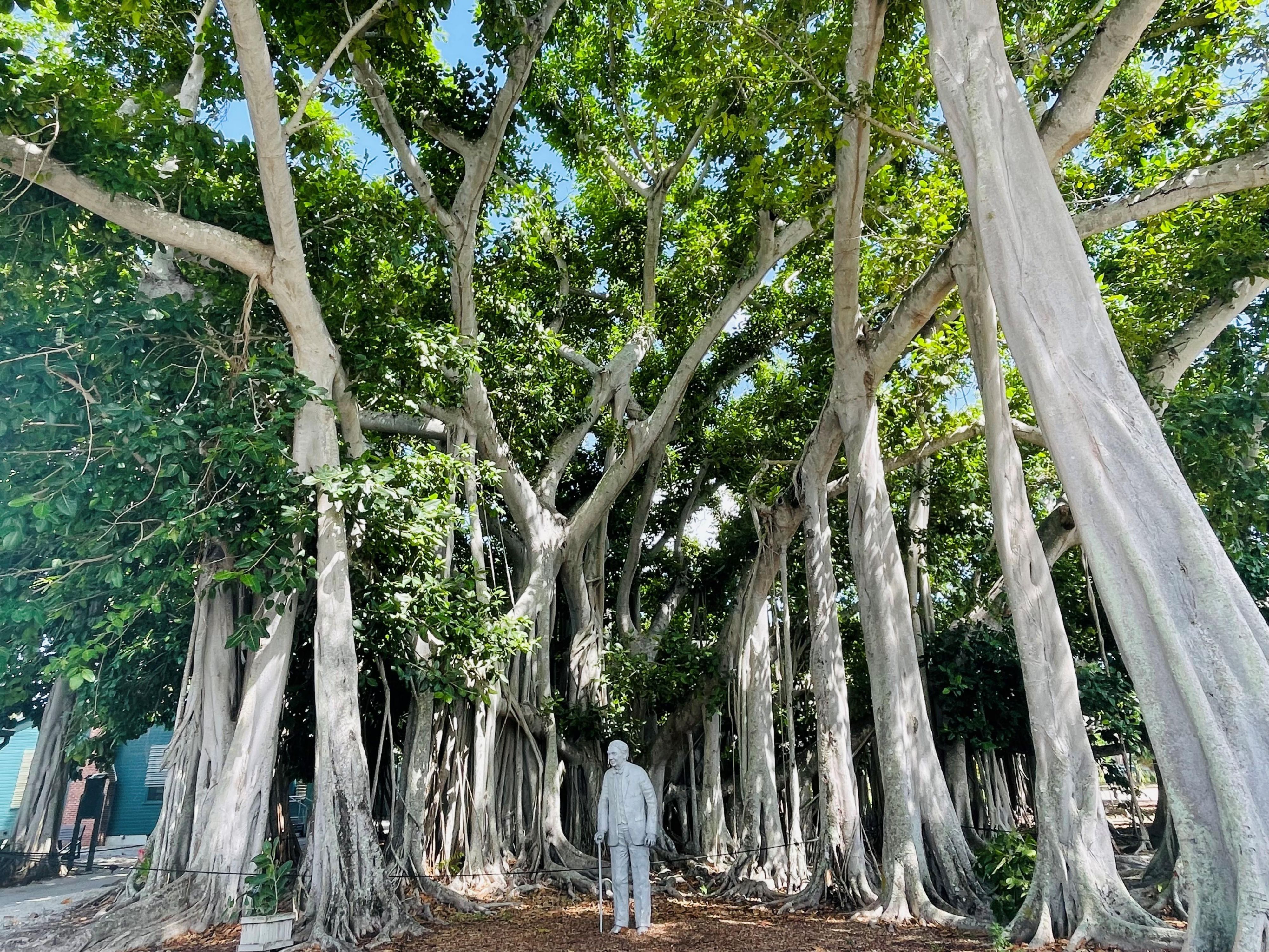 Step back in time at the historic winter homes of Thomas Edison and Henry Ford, featuring beautifully maintained gardens and a museum showcasing their inventions.  