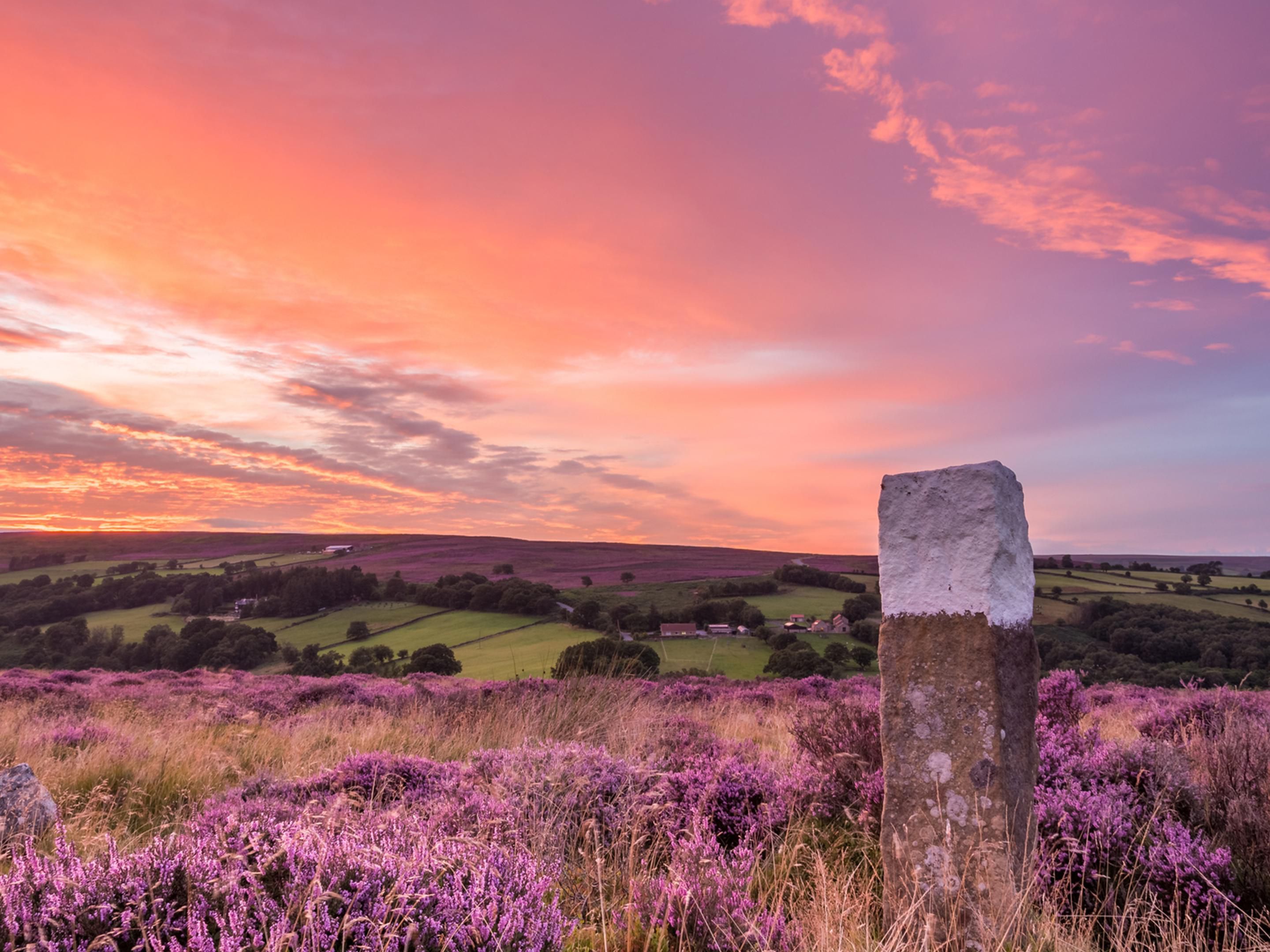 Cycling North Yorkshire from Harrogate is unbeatable, with challenging climbs, rolling countryside, and scenic Yorkshire Dales routes. From quiet lanes to Tour de France-tested ascents, every ride rewards with varied terrain, charming towns, cosy cafés, and breath taking landscapes. It's also a great base for walking too.