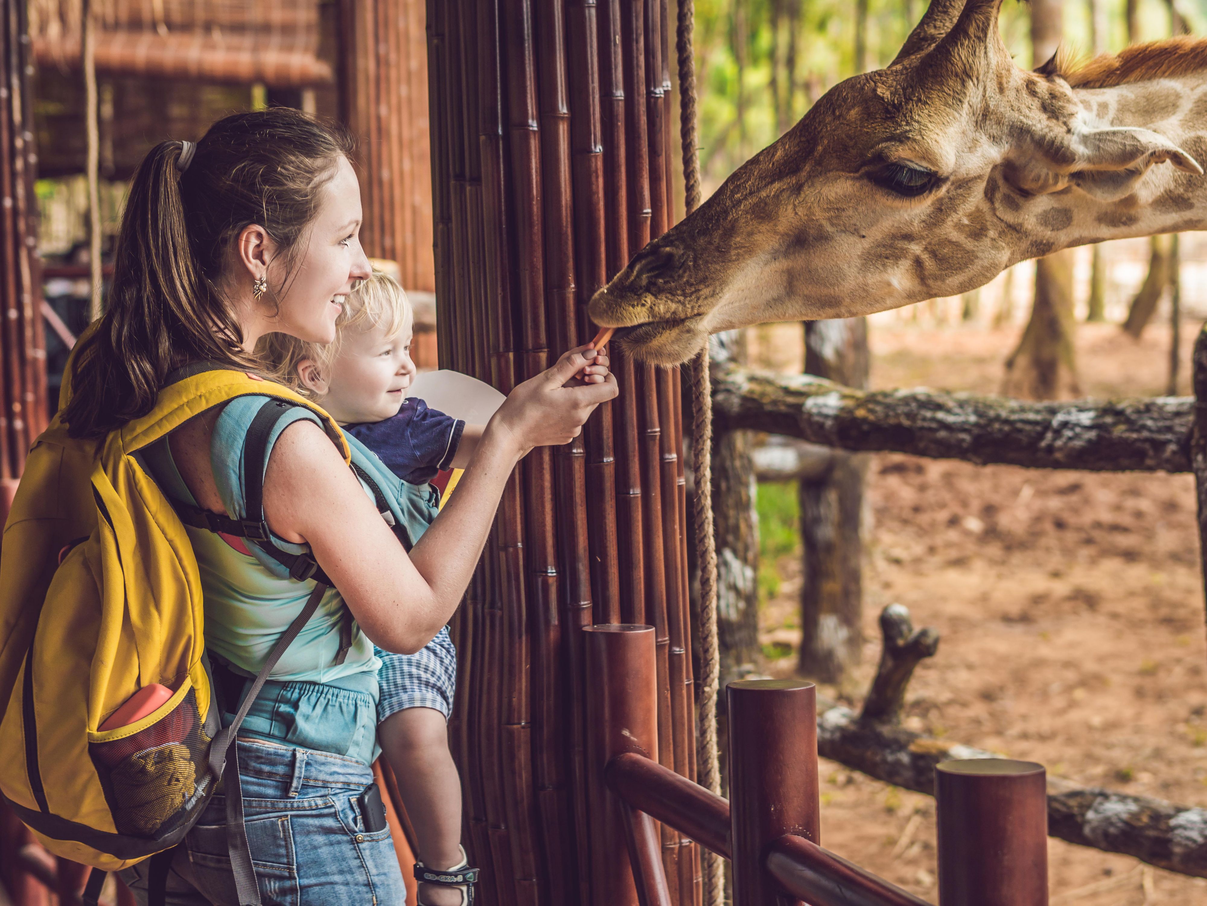 A short drive away, the Louisville Zoo is home to over 1,700 exotic animals across 134 acres, providing an educational and entertaining experience for visitors of all ages.  