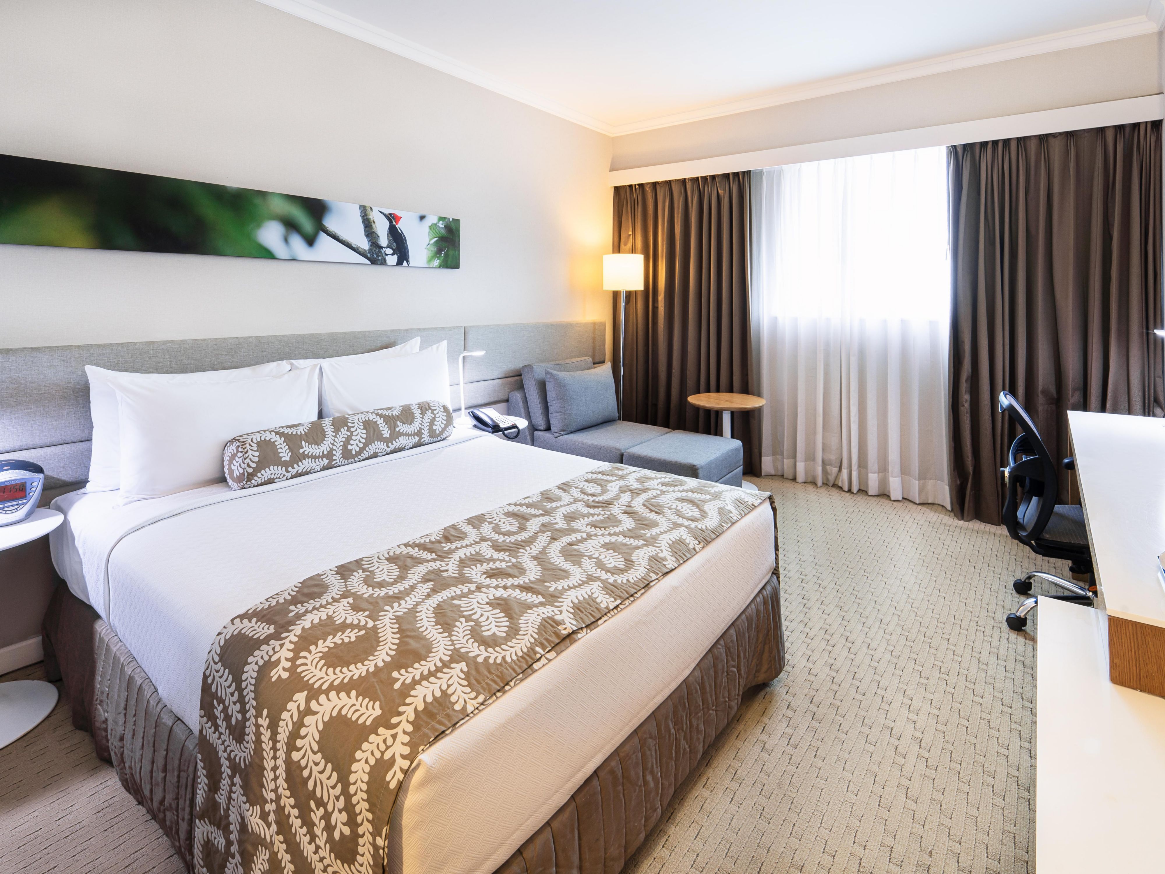 Single Bed Guest Room