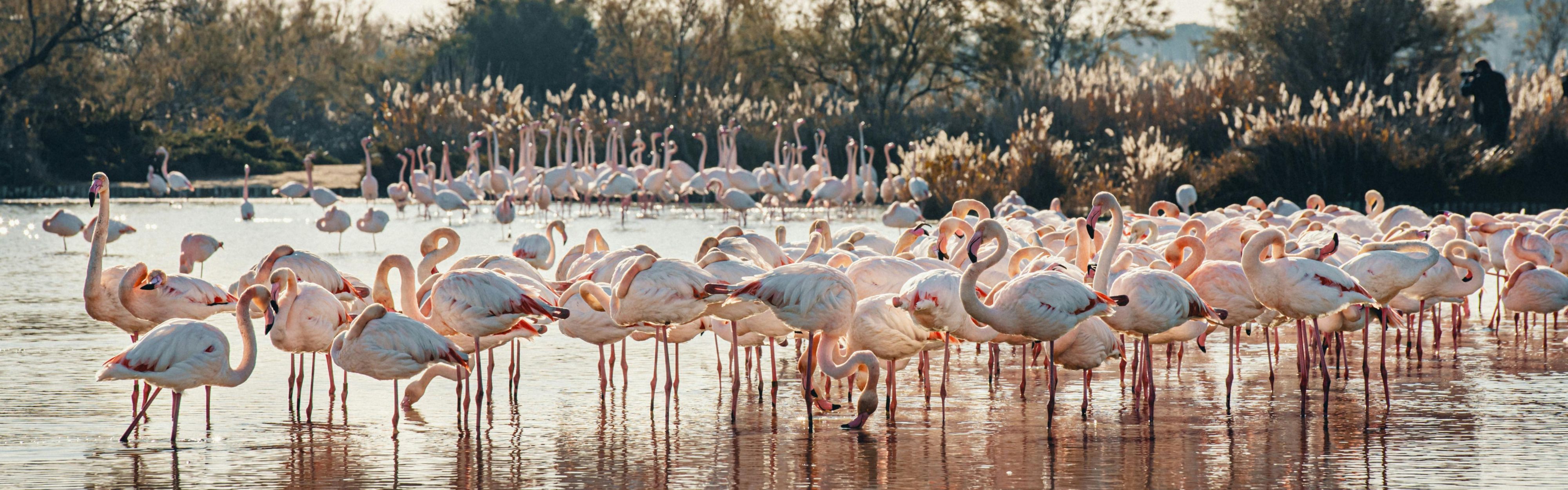 Discover Mérida: a colonial gem and trending destination