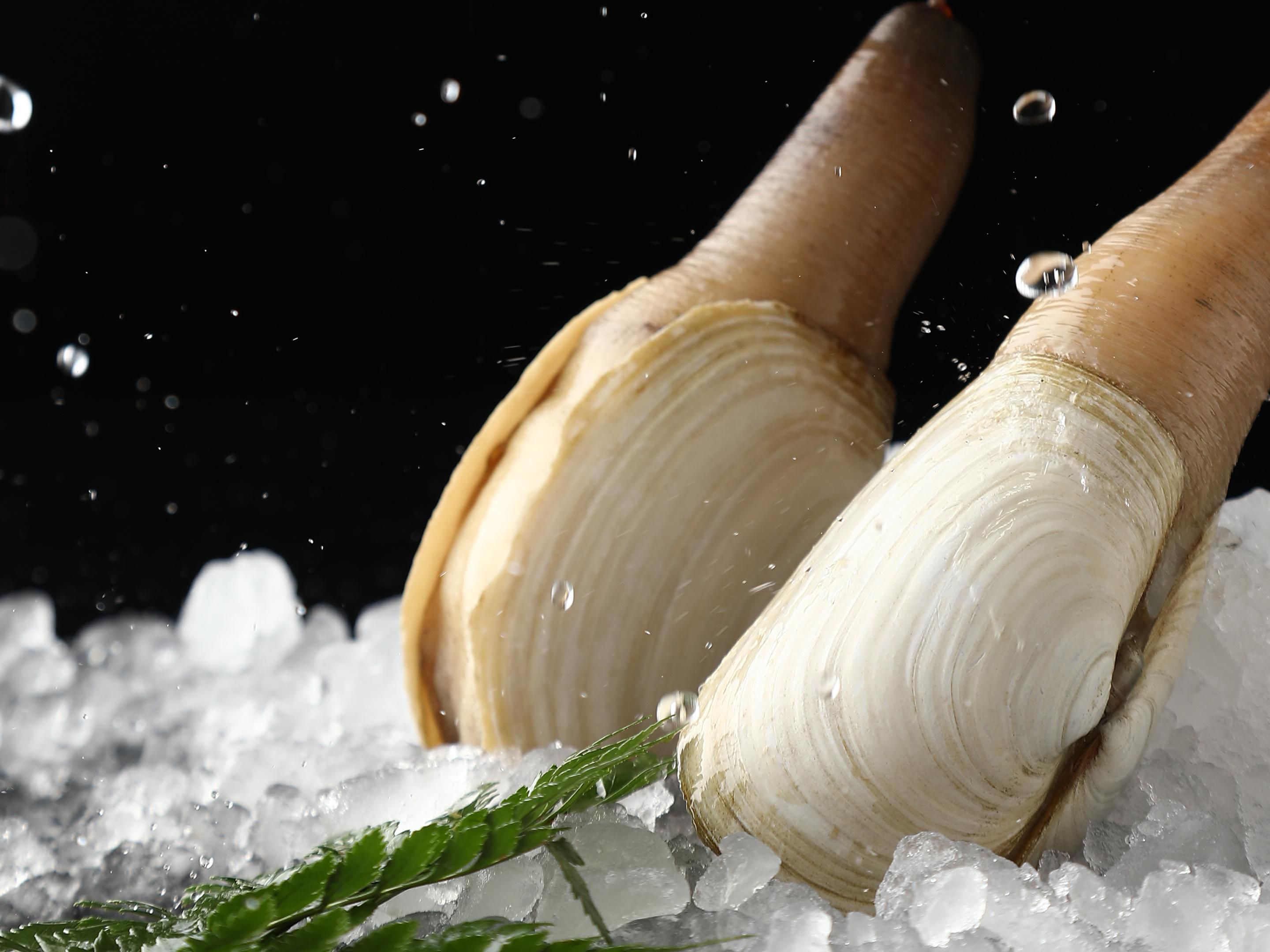 丰富的海鲜品种，上百道菜品现点现做，新鲜食材加上精湛厨艺，匠心缔造美味。