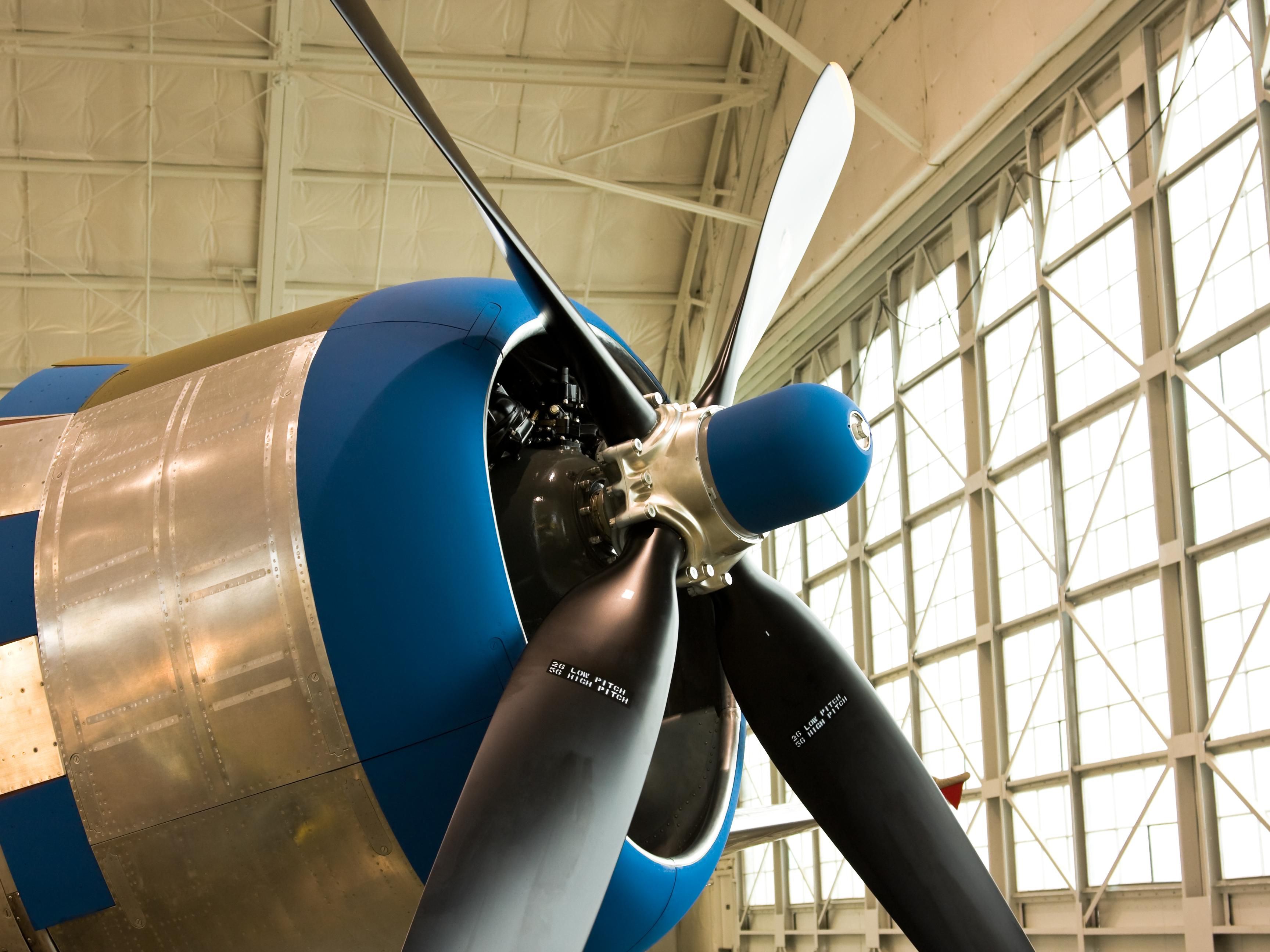 Visit the renowned National WWII Museum, located a short distance from our hotel, offering immersive exhibits and historical insights.  