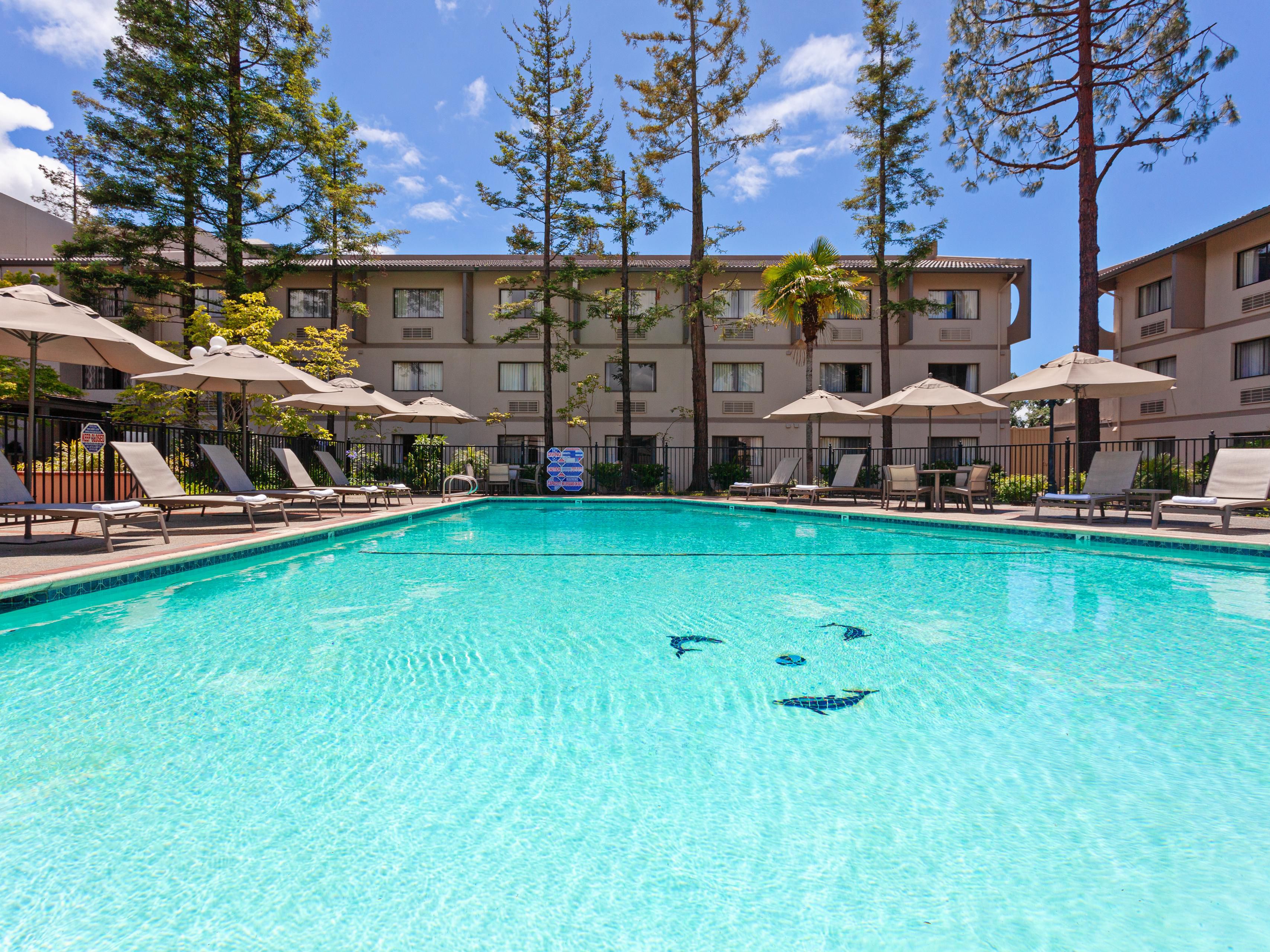 Head to our hotel's 24/7 gym to keep up with your fitness routine while on the road. Our Fitness Center features state-of-the-art fitness equipment, including ellipticals, treadmills, stationary bikes, and free weights. Once you're done working out, take a refreshing and relaxing dip in our outdoor pool.