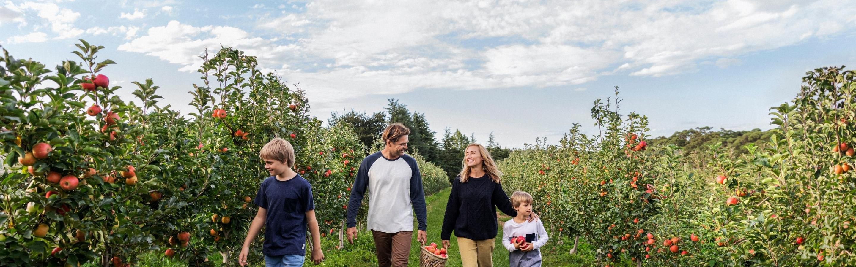 Local Destination - Bilpin Orchids