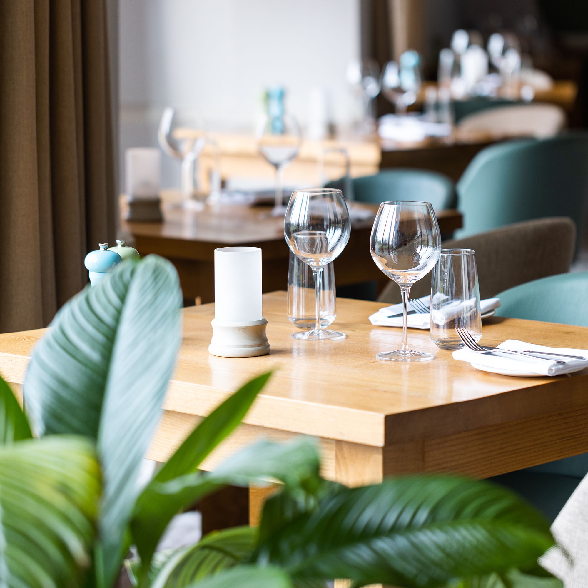 Dining room table with plants