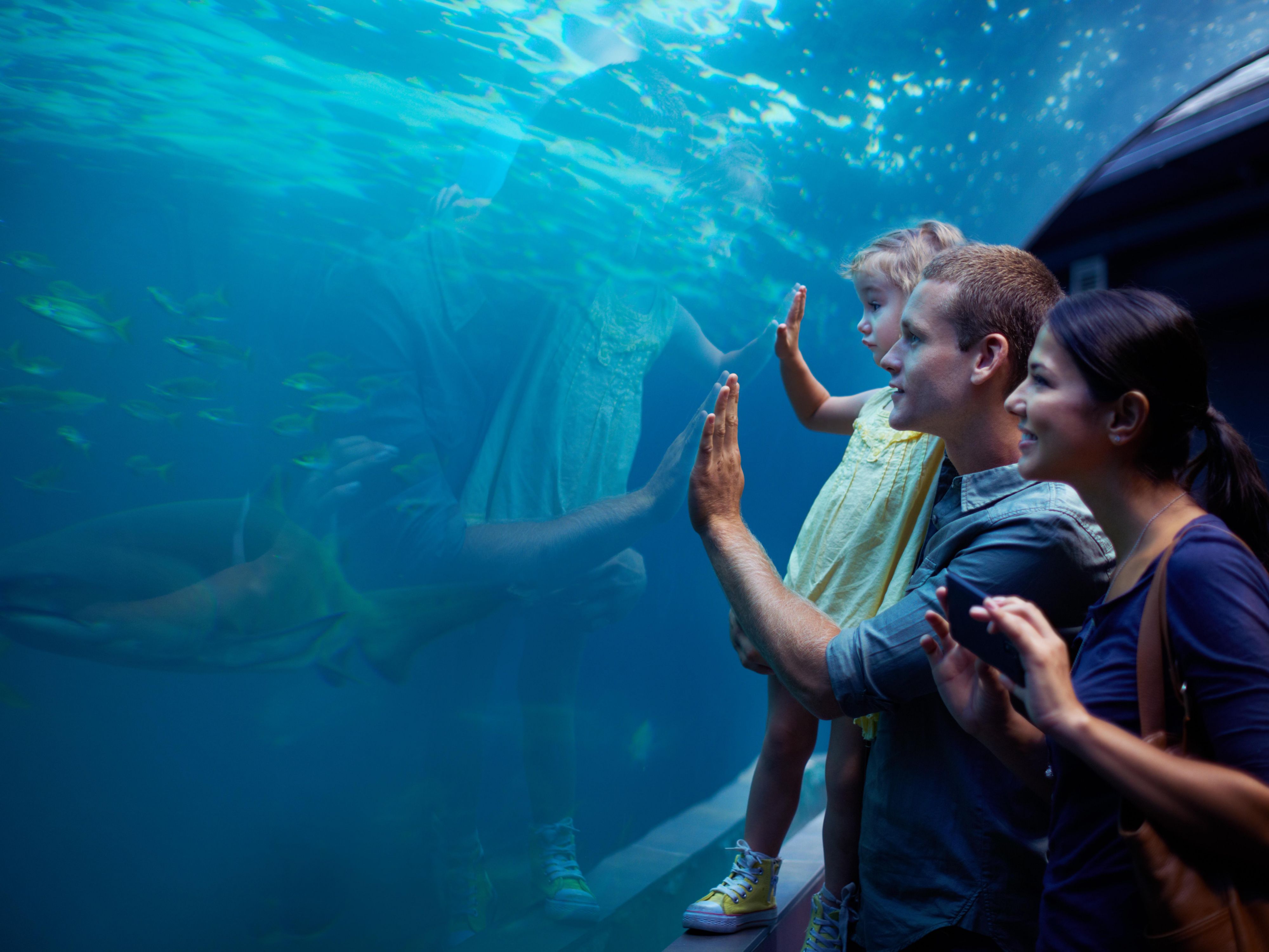 Make the most of your travel to Atlanta, Georgia, by staying at our hotel near the Georgia Aquarium, World of Coke, and beautiful Piedmont Park. We provide the perfect base for your adventures, ensuring a comfortable and convenient stay with your family. 