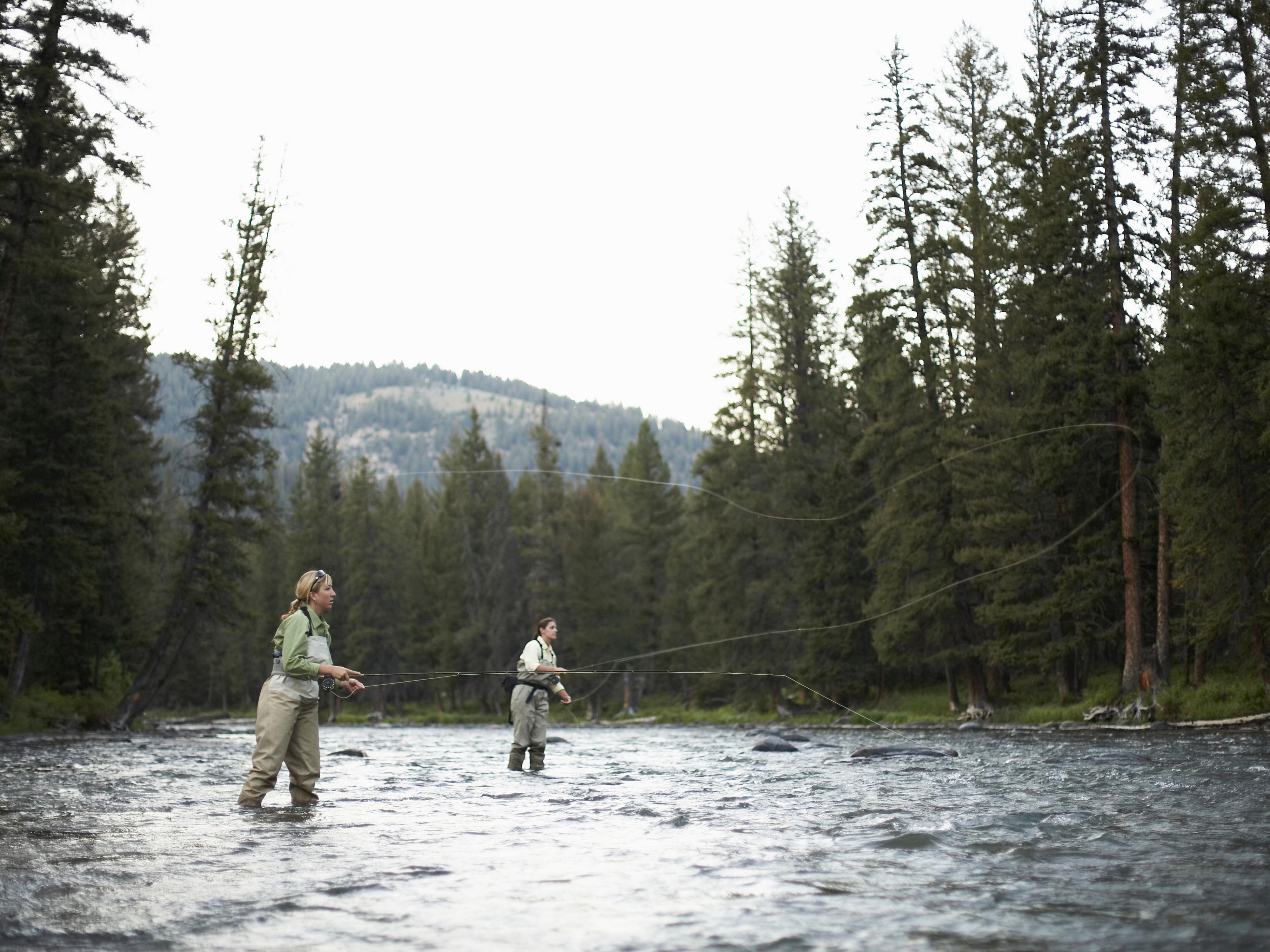 Cast your line and embrace the thrill of fly fishing in the stunning waters near Belgrade, Montana. With easy access to the Gallatin, Madison, and Yellowstone Rivers, our hotel is the perfect base for your adventures. Just minutes from expert guides like Montana Troutfitters (8.6 mi) and Montana Angler (11.1 mi), your best memories await. 