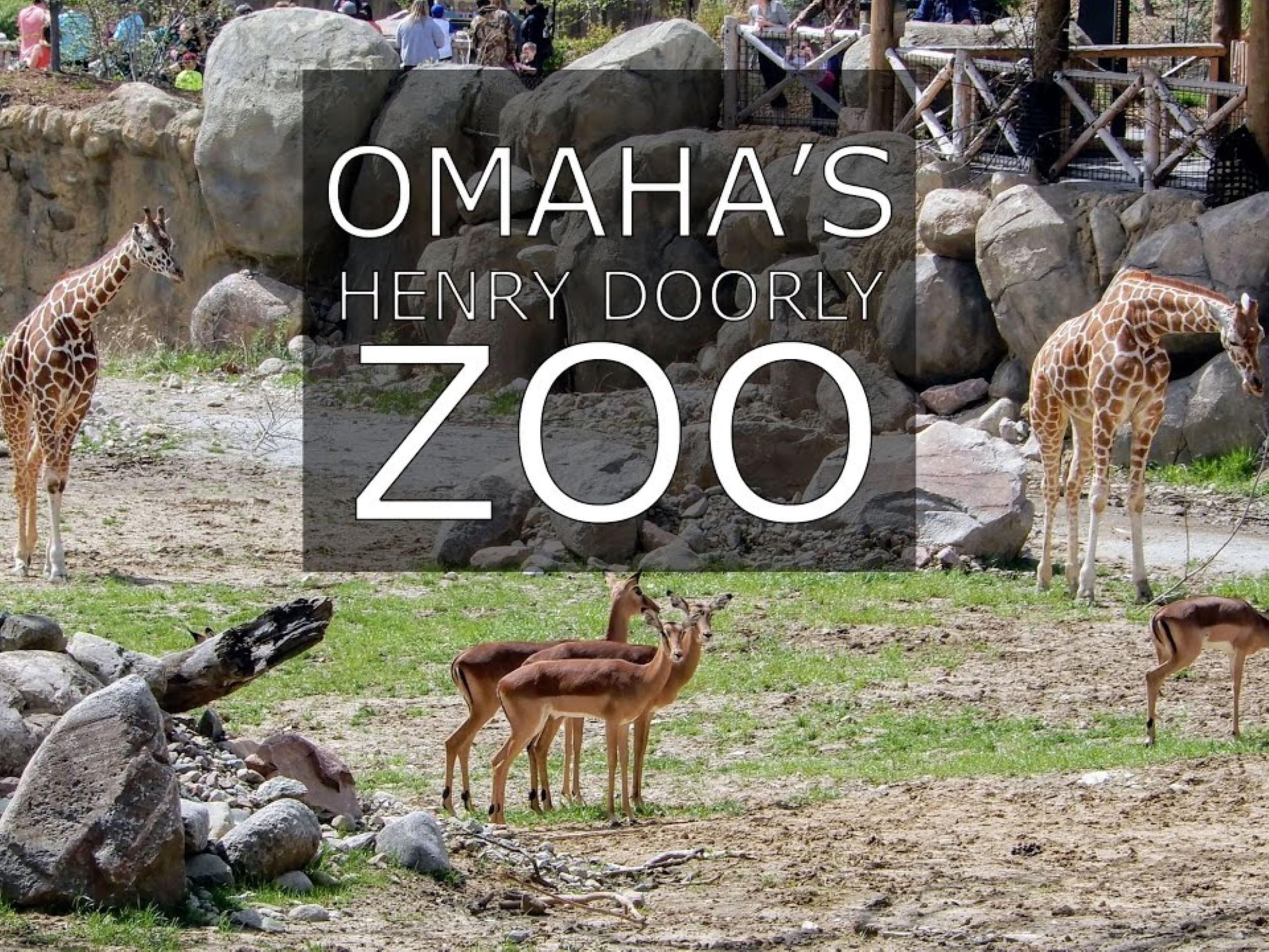 With its diverse array of animals and immersive exhibits, the Omaha's Henry Doorly Zoo- and Aquarium promises excitement and discovery for the whole family. From marveling at majestic elephants to exploring lush rainforest habitats, the Henry Doorly Zoo and Aquarium ignites curiosity and inspires visitors of all ages.