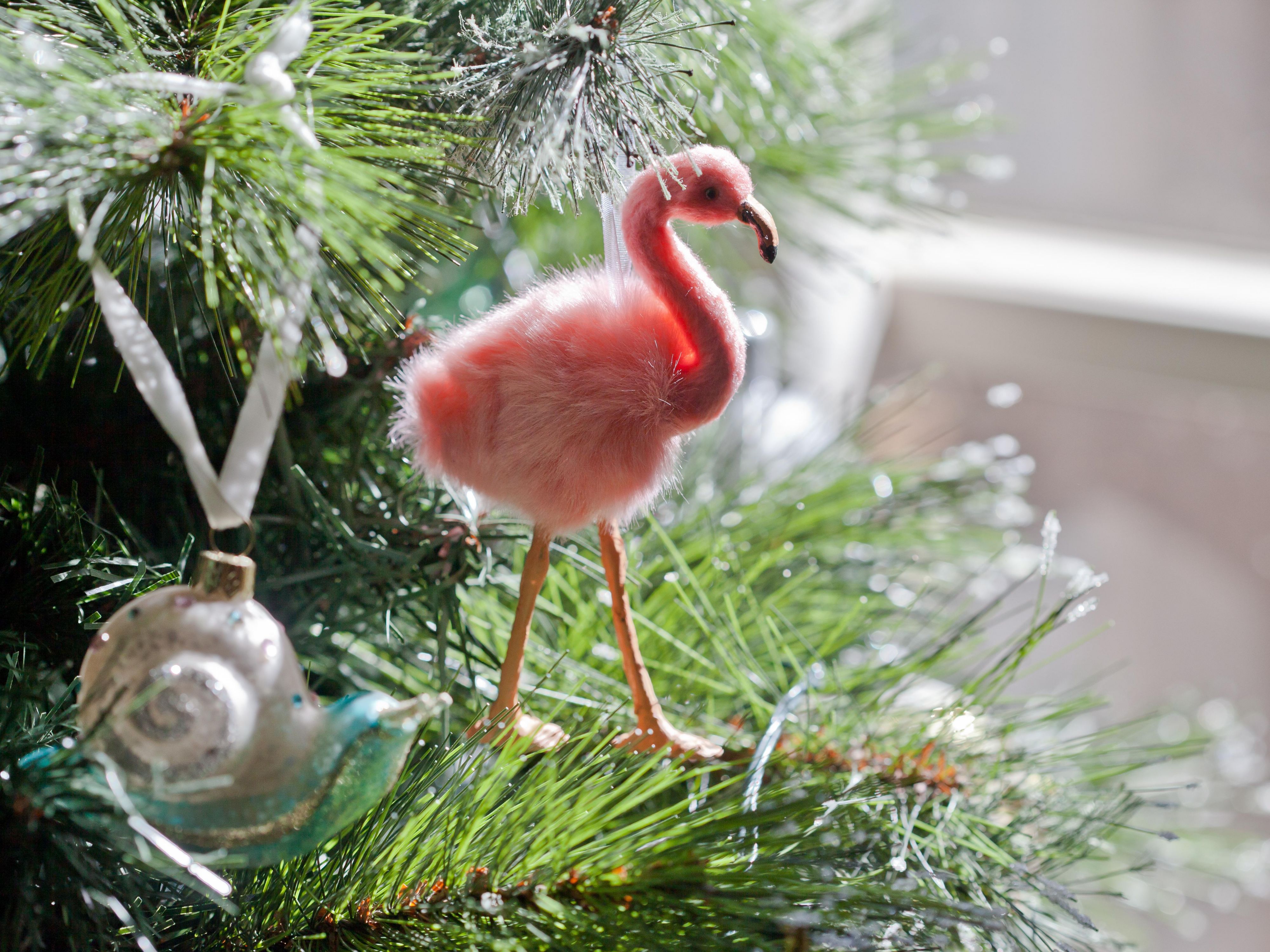 Celebrate the season with ultimate theme park magic! Disney dazzles with festive parties, a snowy Main Street, and castle projections. Universal brings Grinchmas and Christmas in The Wizarding World of Harry Potter with spectacular shows and parades. Stay with us to witness millions of lights, holiday treats, and festive fireworks.