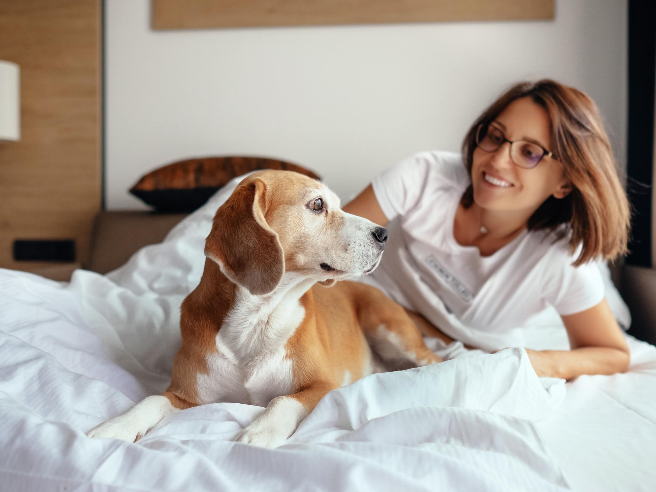 Stay at our pet-friendly hotel in Portland and treat your furry friend to our Pet Getaway Package, which includes a cozy bed, tasty treats, a fun toy, and a water bowl. Explore the vibrant city or nearby Hazeldale Park together, knowing your pet is pampered and happy. Pet fees apply at checkout. 