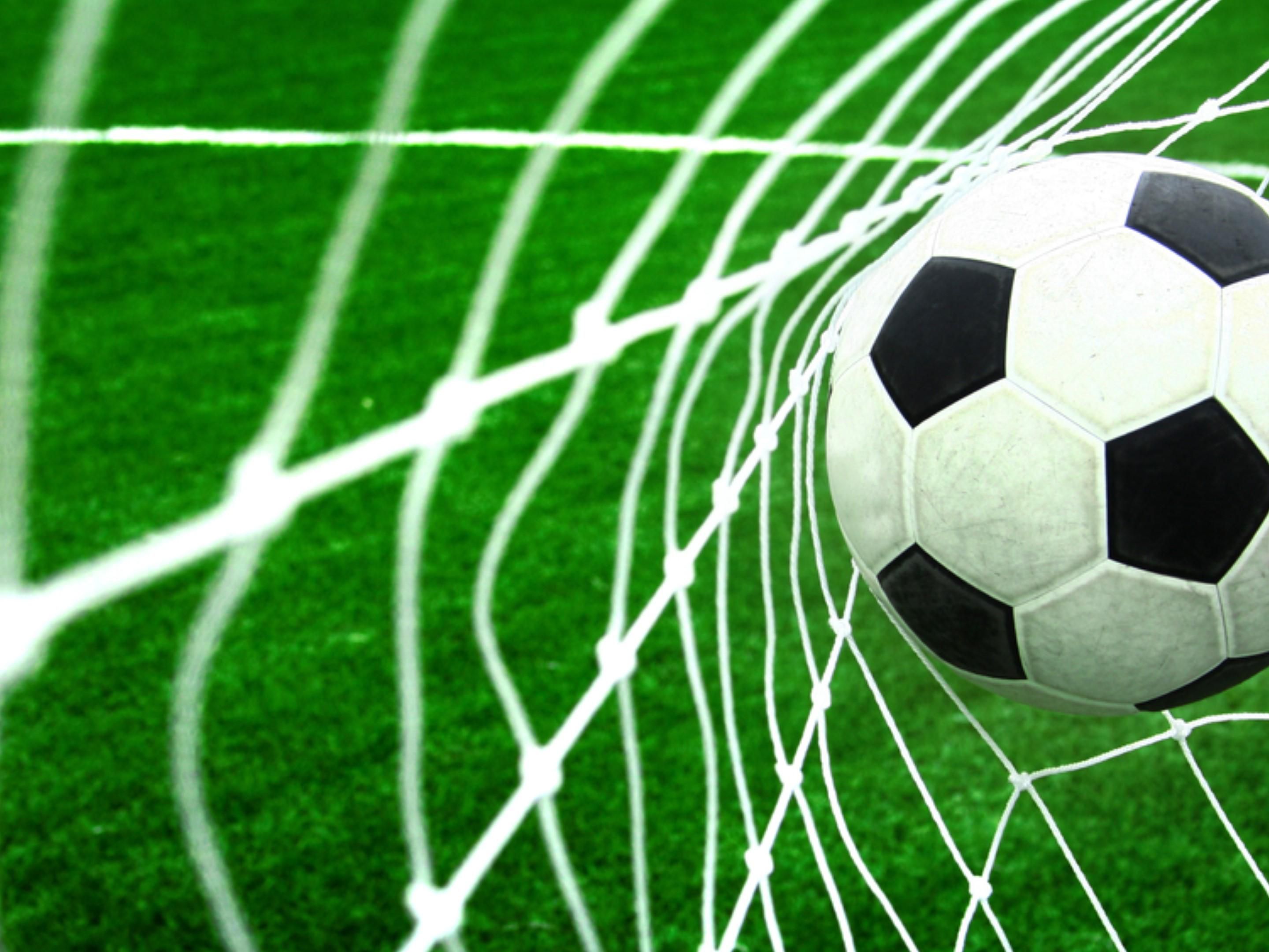 Soccer ball in the net