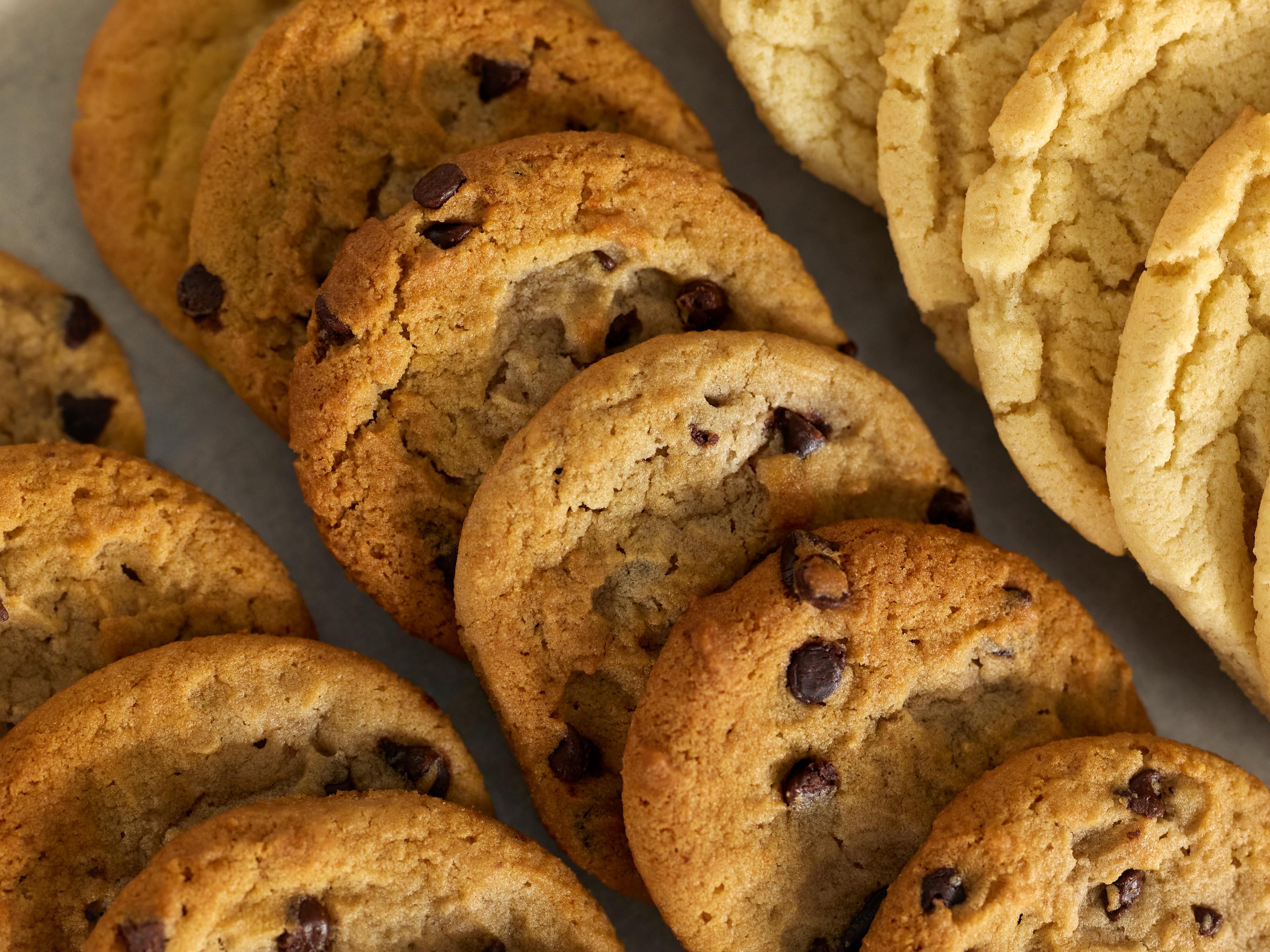 At our pet-friendly hotel in Salt Lake City, we offer the amenities that matter most. Start your morning with a free hot breakfast, take a refreshing dip in our heated indoor pool, or stay on track in our fully equipped fitness center. At our hotel near Salt Lake City Airport with a shuttle service, traveling is easy.