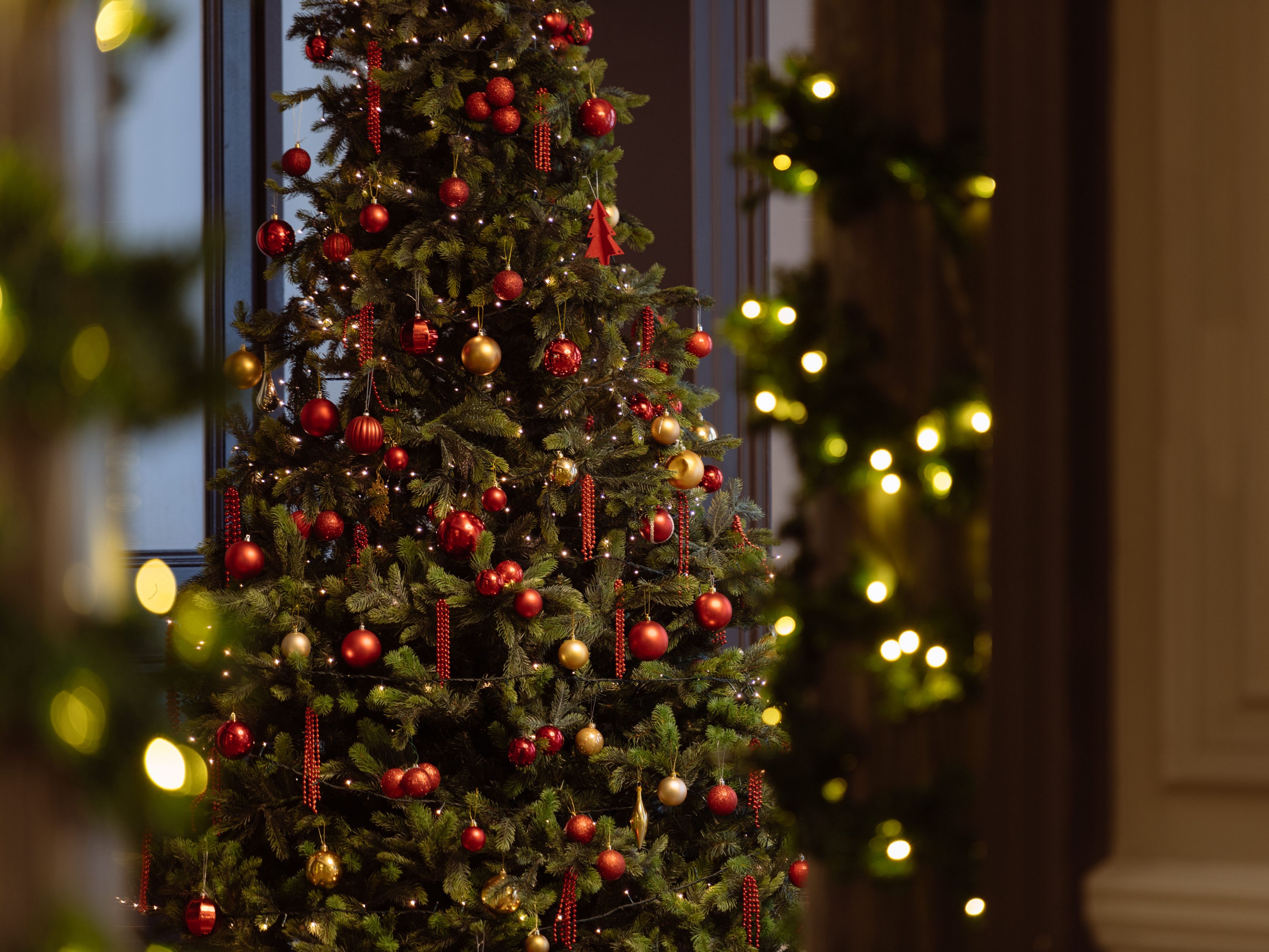 Decorated Christmas tree