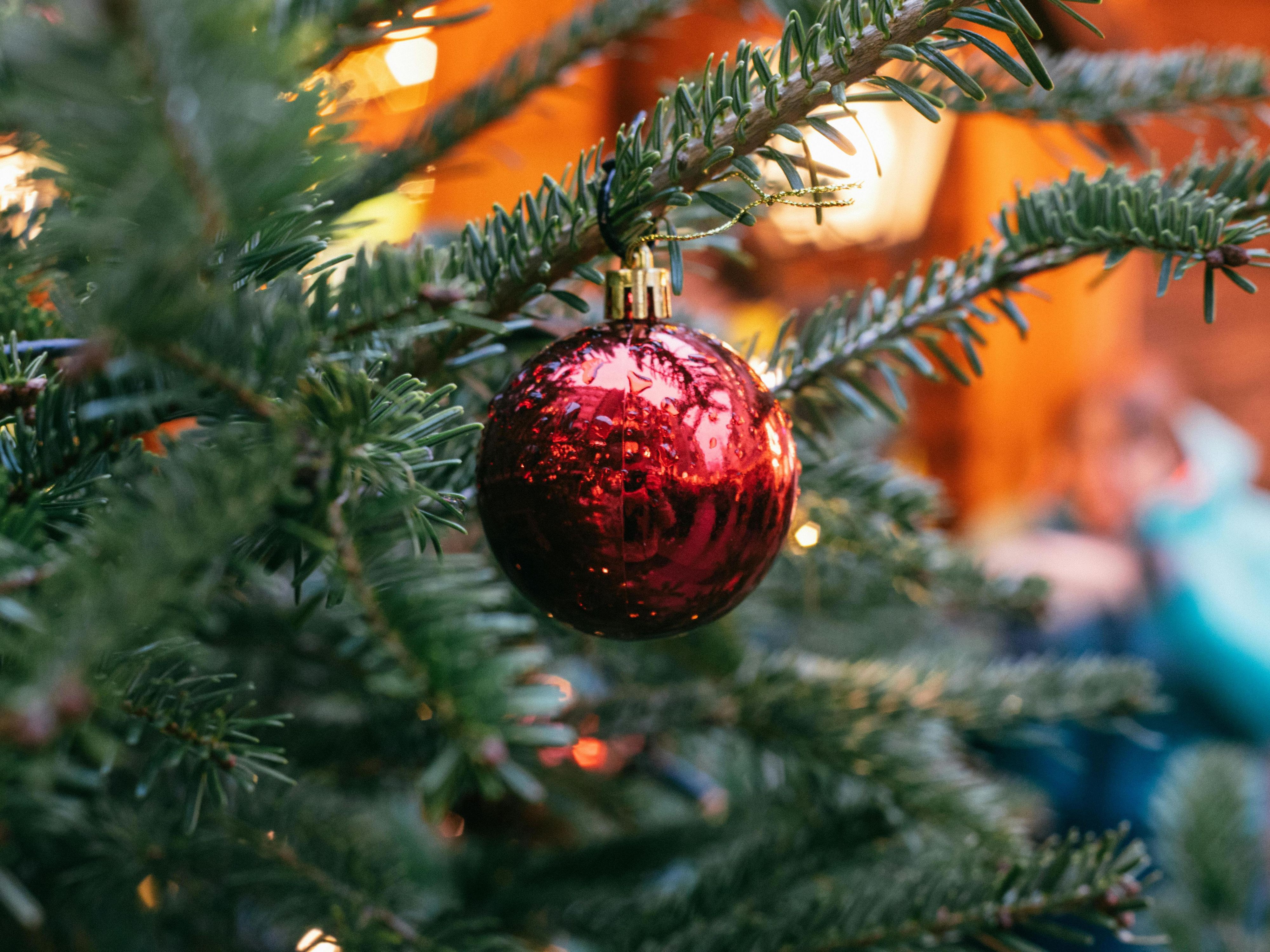 Swap the usual Christmas markets for something different. Tollwood Winterfestival lights up Theresienwiese, just 30 minutes away, with organic food, global crafts and international performances from 25 Nov to 23 Dec. Most events are free! Return 31 Dec for a New Year’s Eve party and a Viennese waltz at midnight to remember.