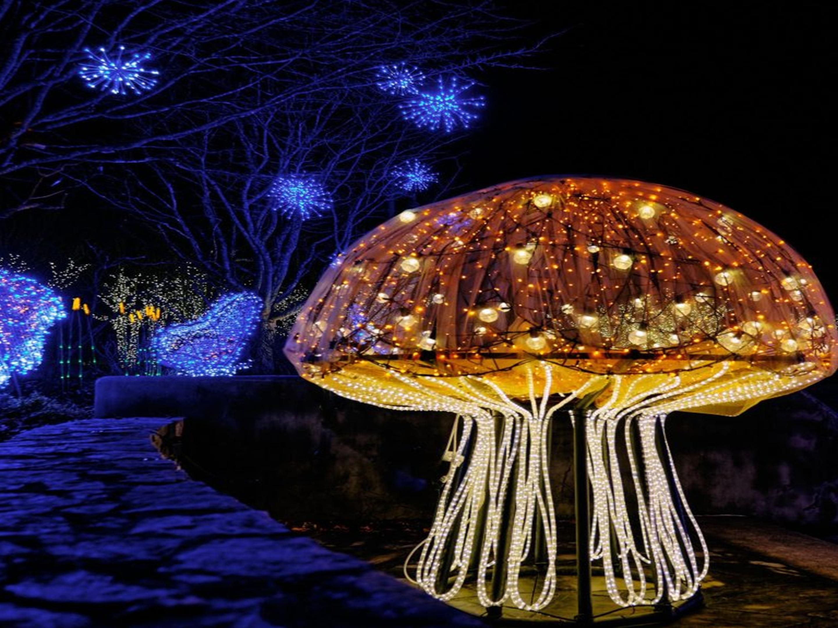 Immerse yourself in the yuletide oasis known as Christmas at Biltmore, where fragrant wreaths, glittering garland, and thousands of sparkling ornaments fill you with joy and wonder, from Biltmore House to Antler Hill Village. 