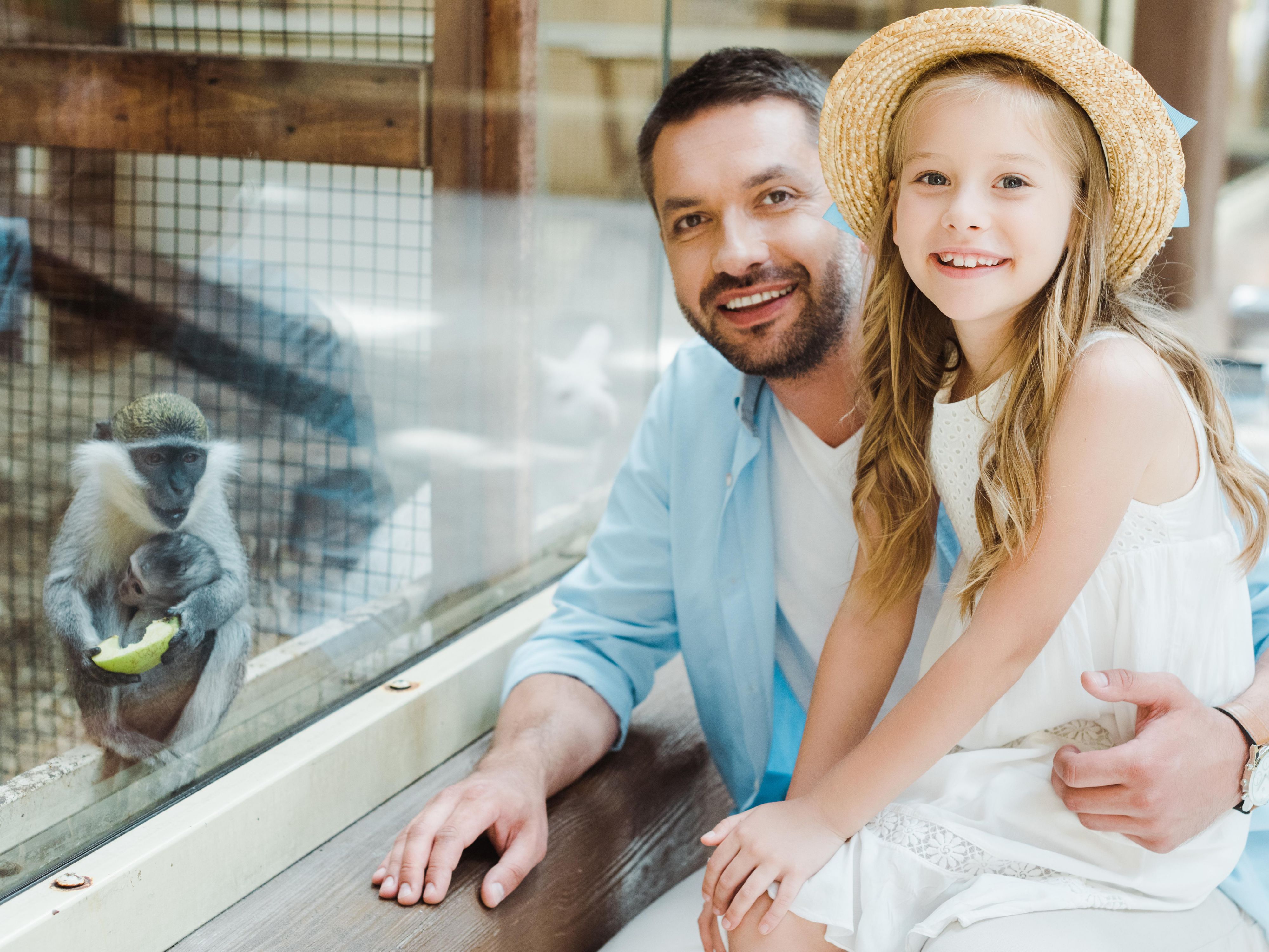 Located in the scenic Texas Hill Country just outside the city, Austin Zoo is a rescue-focused sanctuary home to more than 300 animals. Guests can enjoy up-close encounters, daily zookeeper chats, a children’s train ride, and seasonal events like Boo at the Zoo, making it a perfect family-friendly Austin adventure.