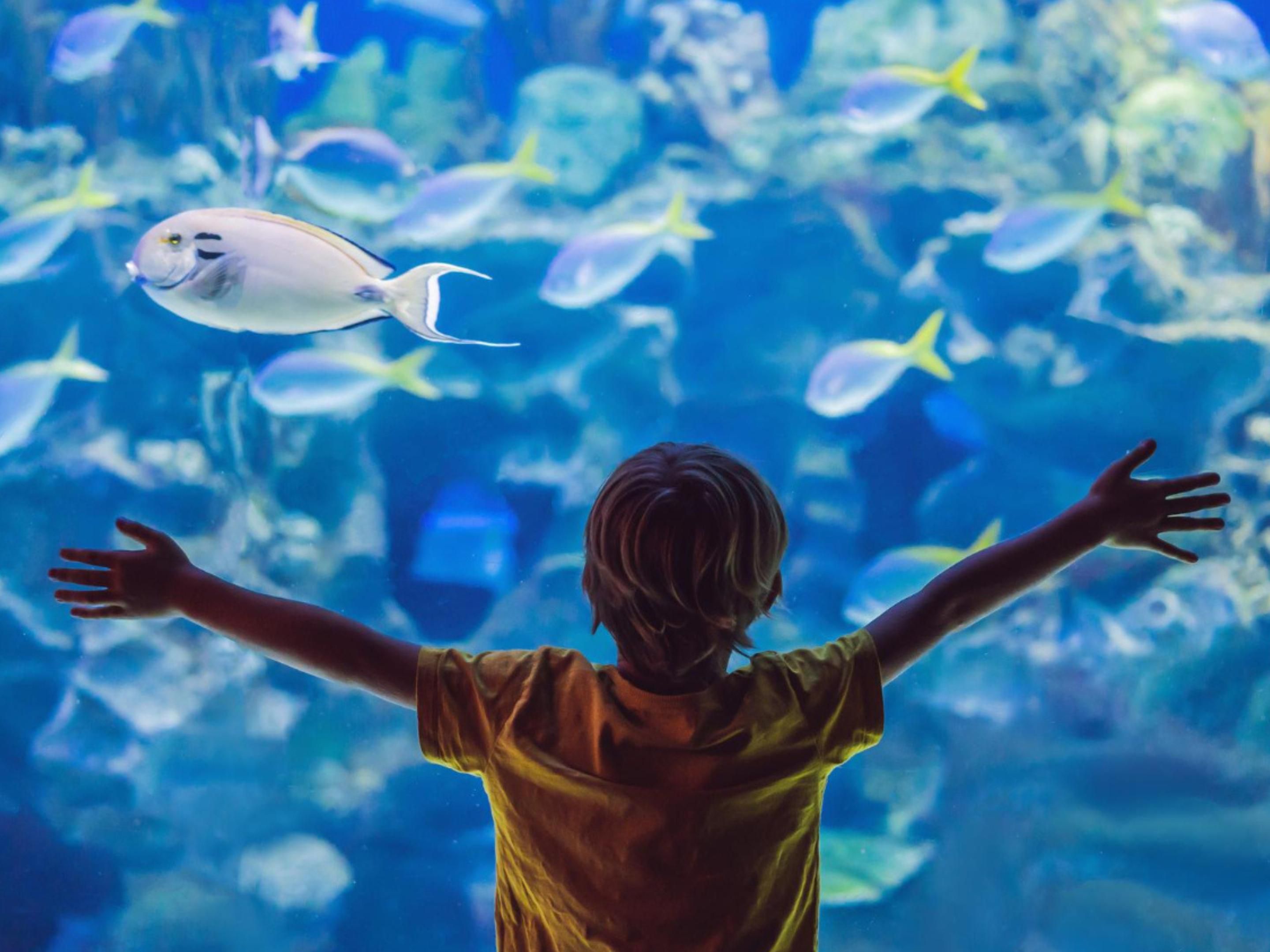 Holiday Inn Bangkok is less than 1 kilometre from Sea Life Bangkok, offering easy access to this popular aquatic attraction for a fun and memorable visit.