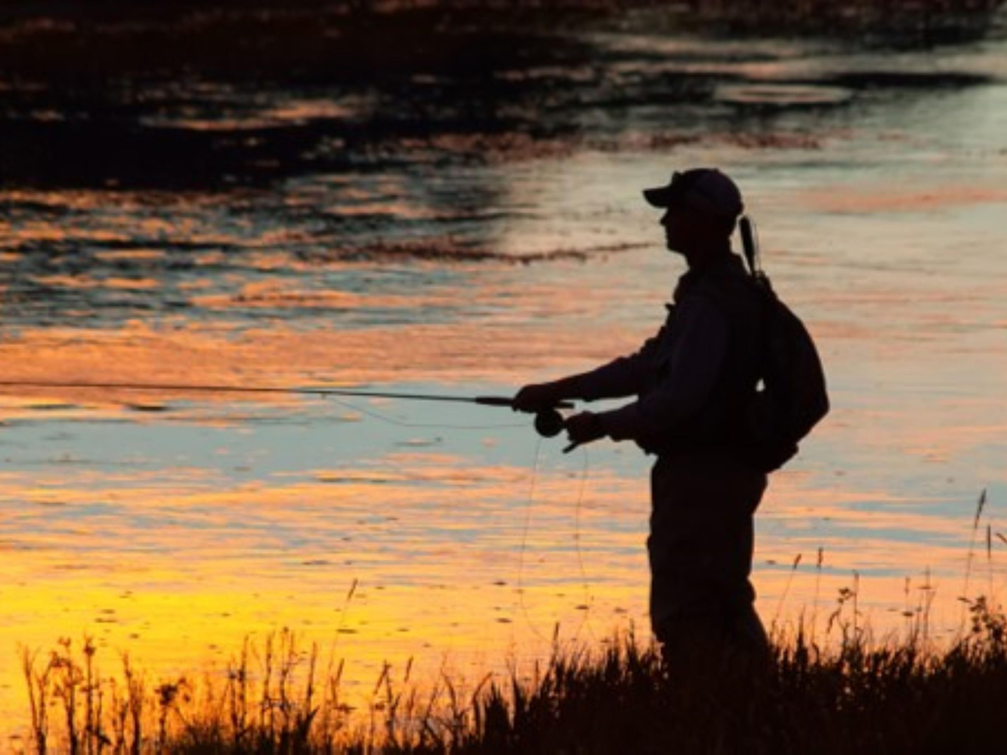 Are you traveling with a group? Unlock special rates that cater to weddings, sports teams, corporate groups, military gatherings, educational institutions, government entities, associations, and more. 