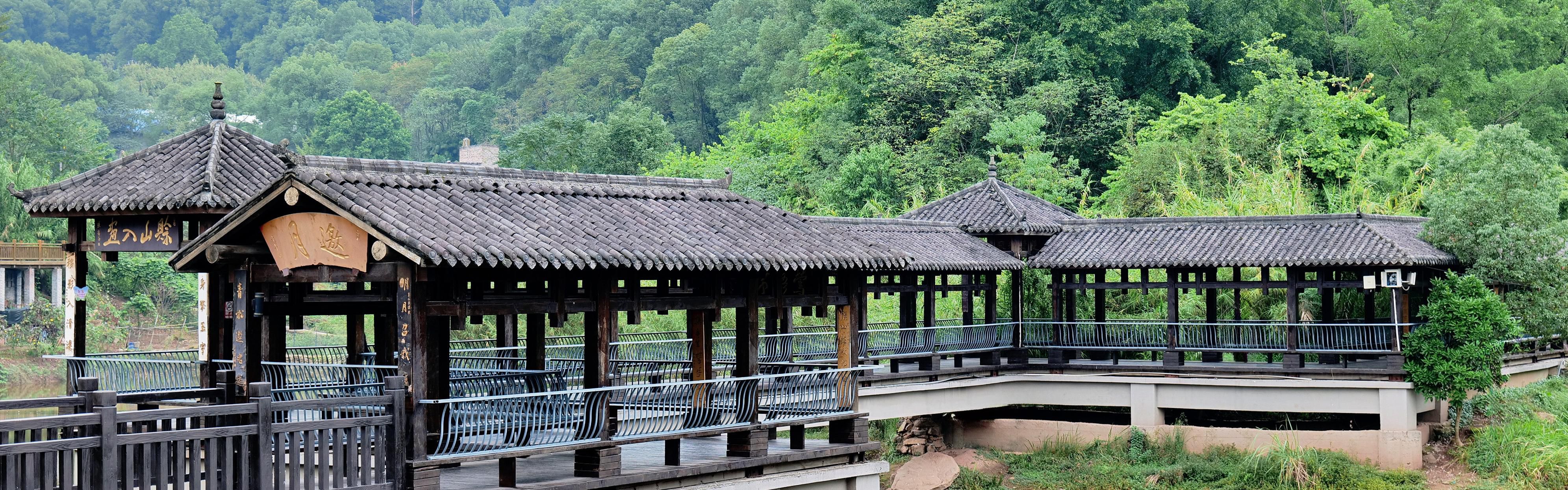 白市驿森林公园