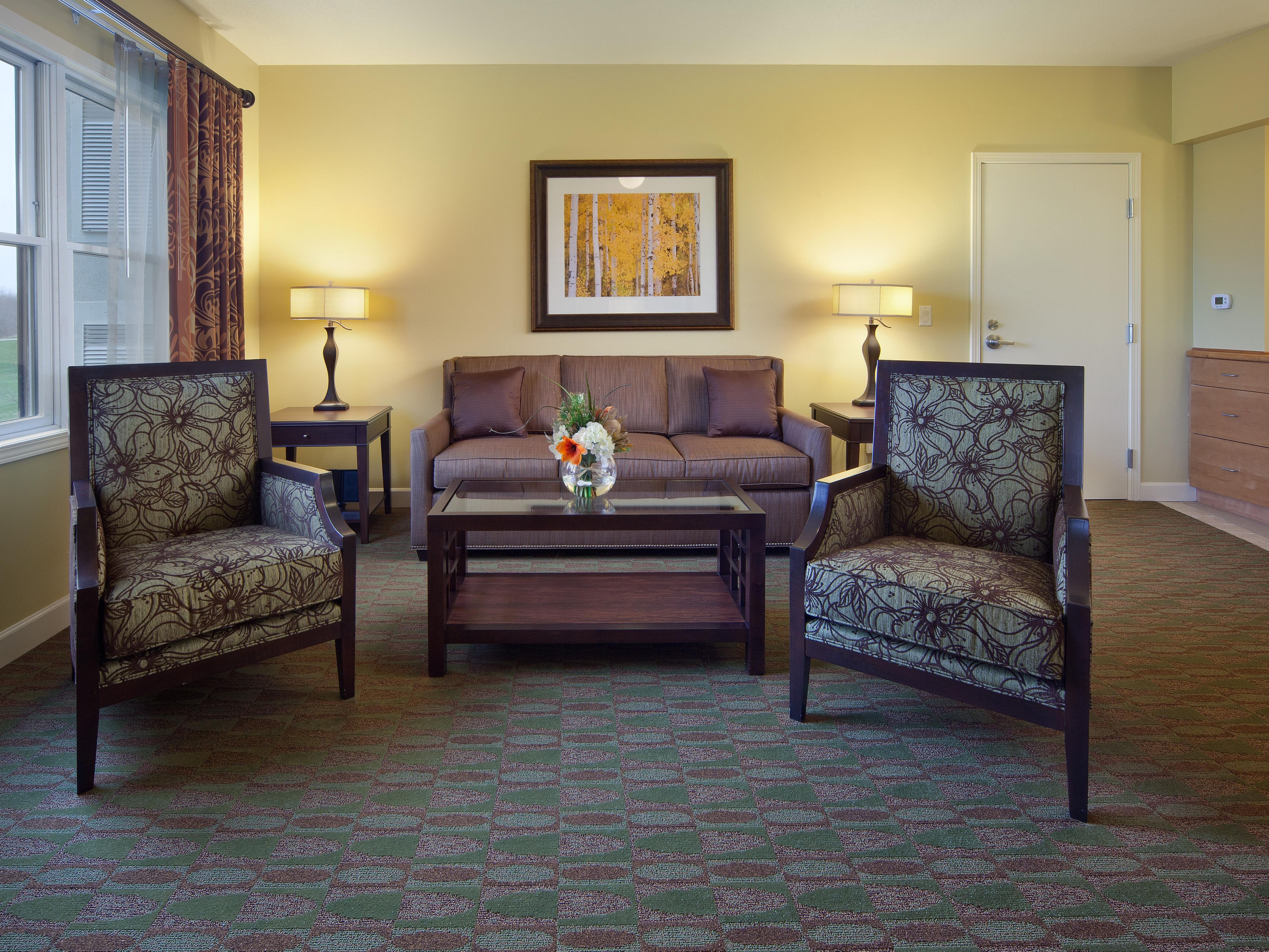 Pullout sleeper sofa in the living area for additional guests