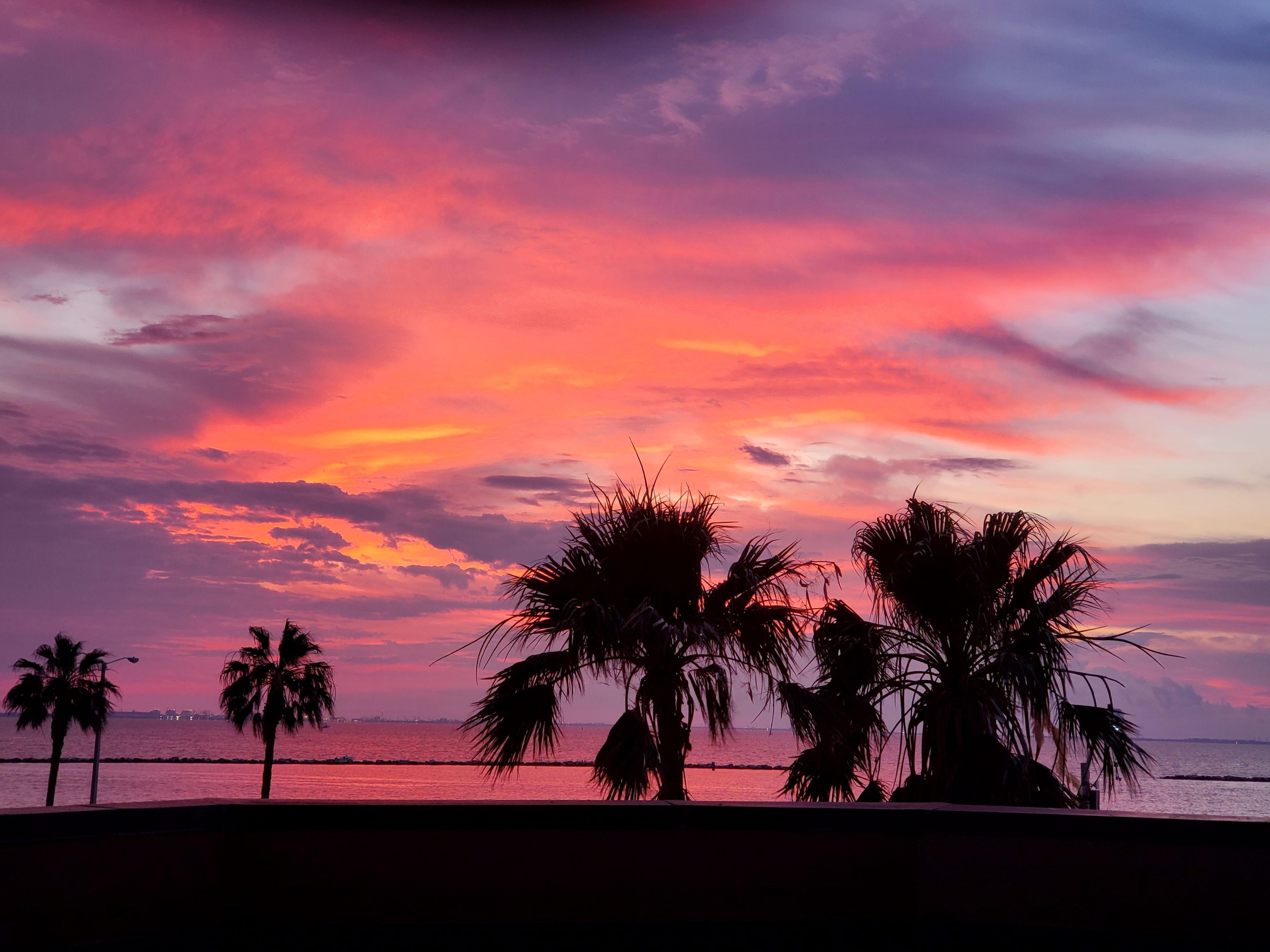 Make the most of your time during your stay. Visit Texas State Aquarium located 2.7 mi from our hotel.