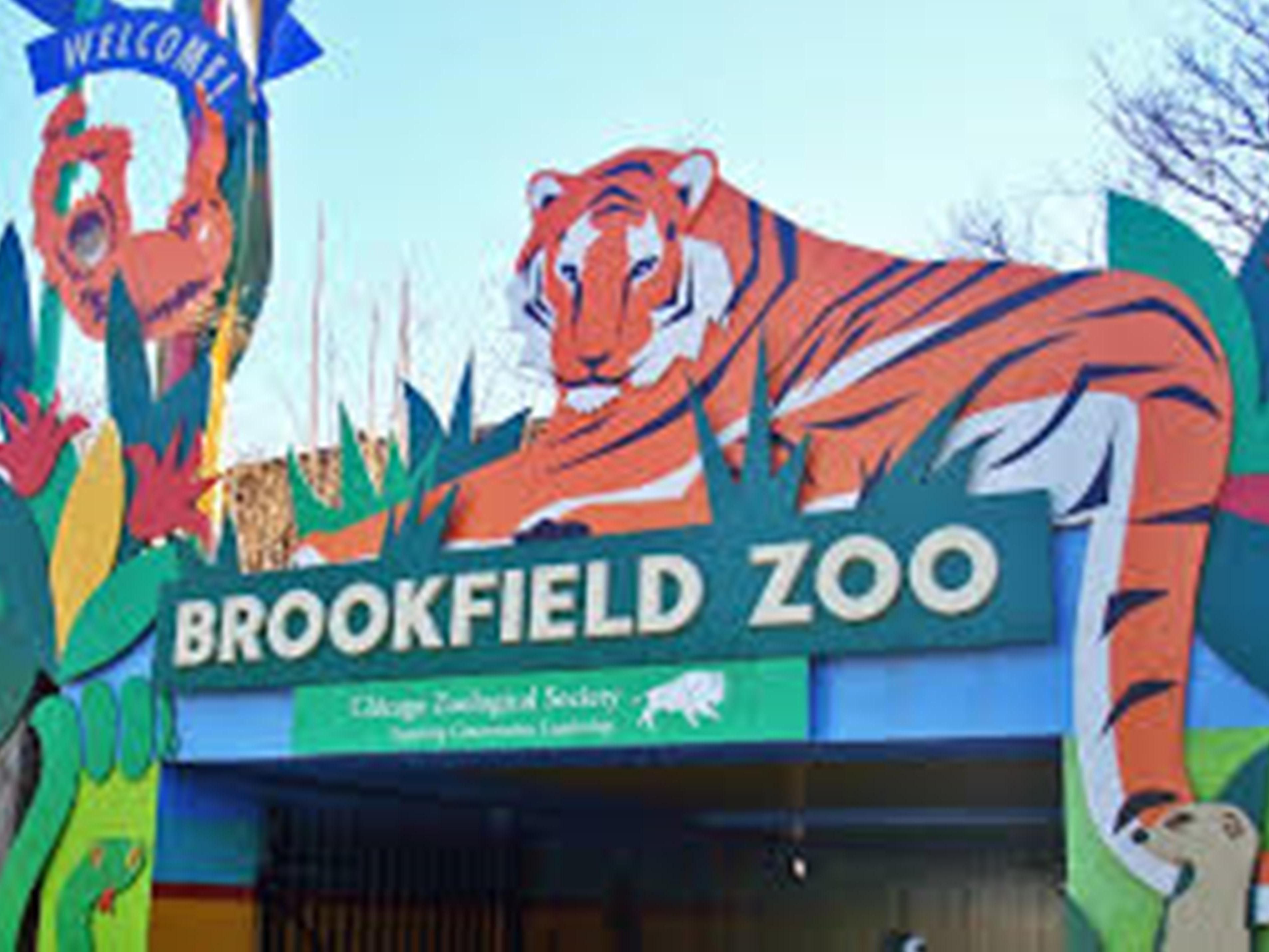Enjoy a fun and educational experience at Brookfield Zoo during your stay, just a short drive away. Whether you are exploring exotic animals, taking part in interactive exhibits, or enjoy scenic walking paths, Brookfield Zoo offers something for everyone! It is a perfect way to spend your day during your stay with us.