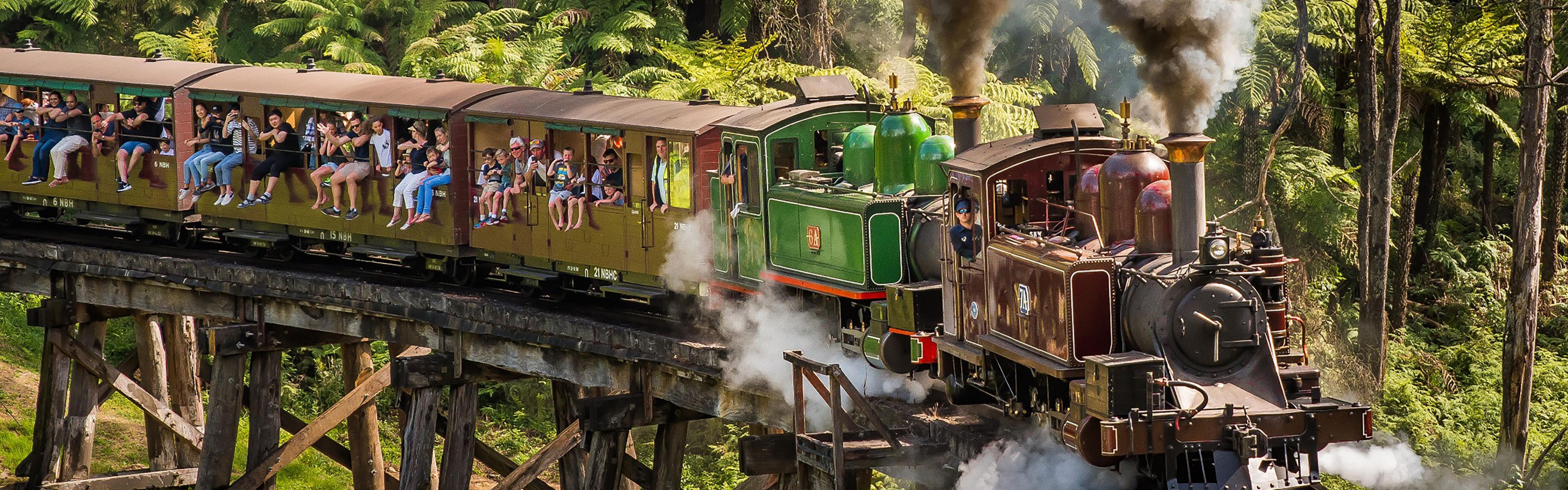 Puffing Billy Dandenong Ranges