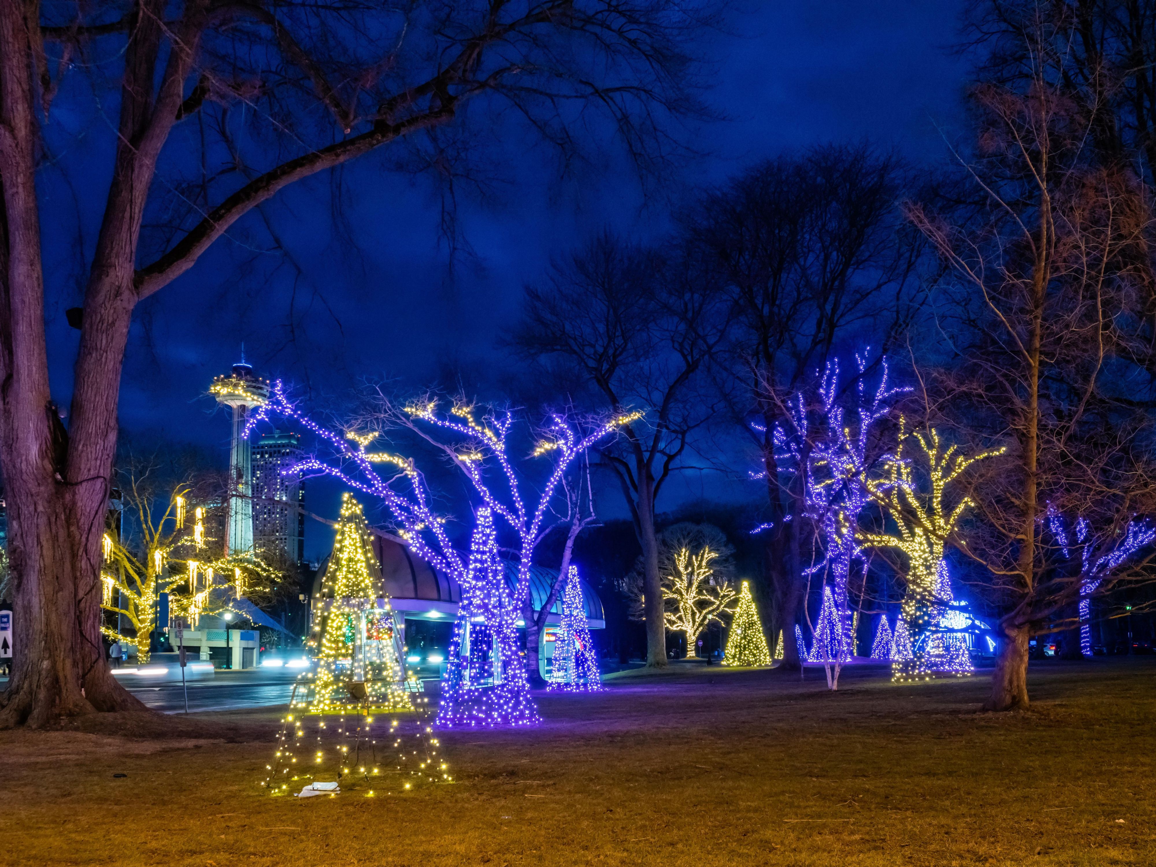 Experience the dazzling Magic of Lights at PNC Bank Arts Center, a short drive from our hotel. This drive-through holiday spectacle features vibrant LED displays and festive animations perfect for the whole family. Enjoy the enchanting winter wonderland from the comfort of your car before returning to your cozy room.