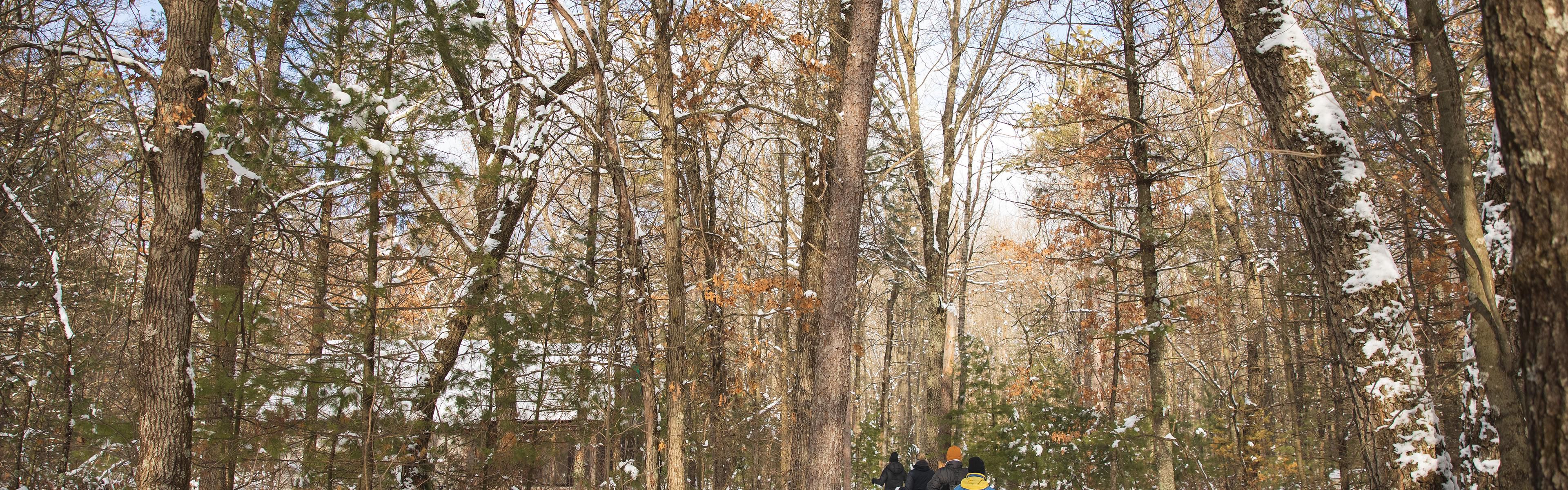 Enjoy our outdoor winter activities