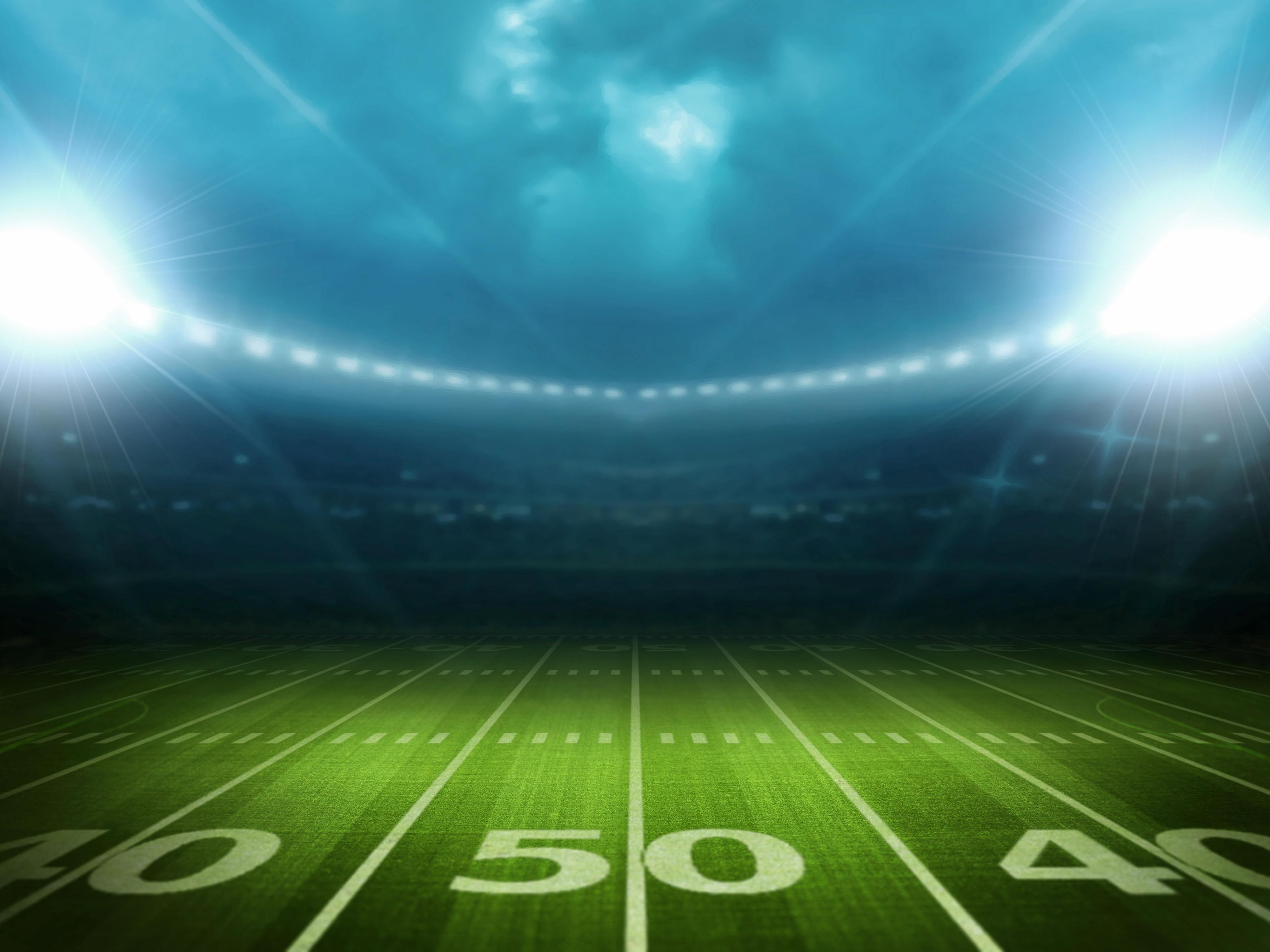 Just steps from our Allen Park hotel is Ford Field, home to the Detroit Lions and other exhilarating events. With its unique mix of historic charm and modern design, this iconic stadium offers unforgettable experiences, making it a must-visit destination for guests seeking world-class entertainment nearby.