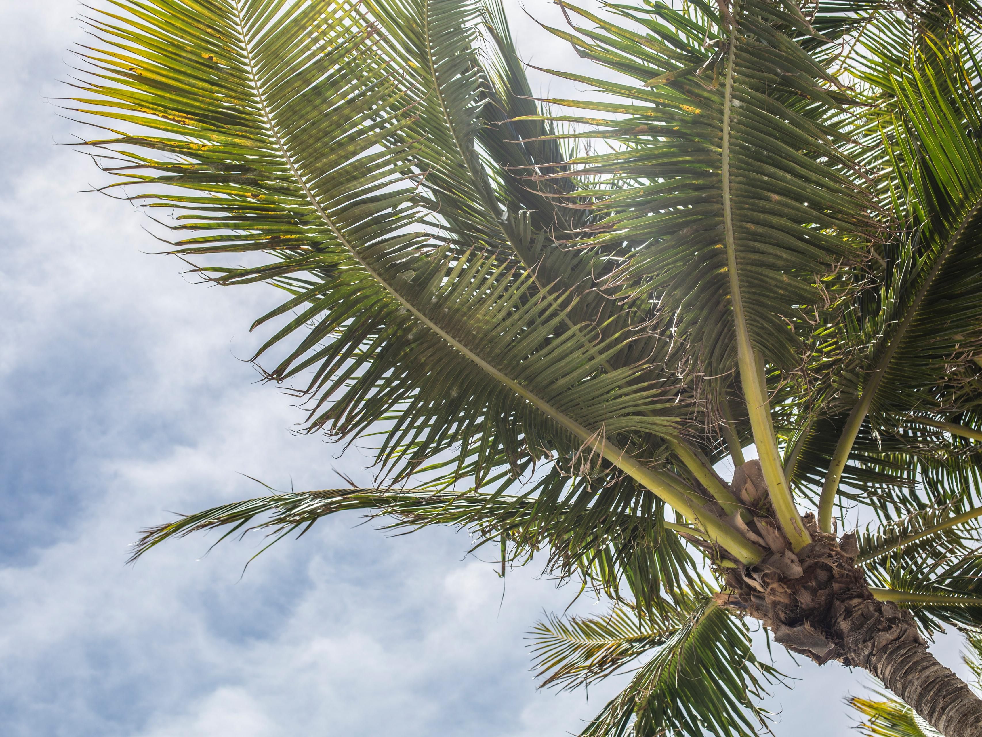 We offer special discounts for FL and GA residents.  Ask when booking for the resident rate  IDFLP