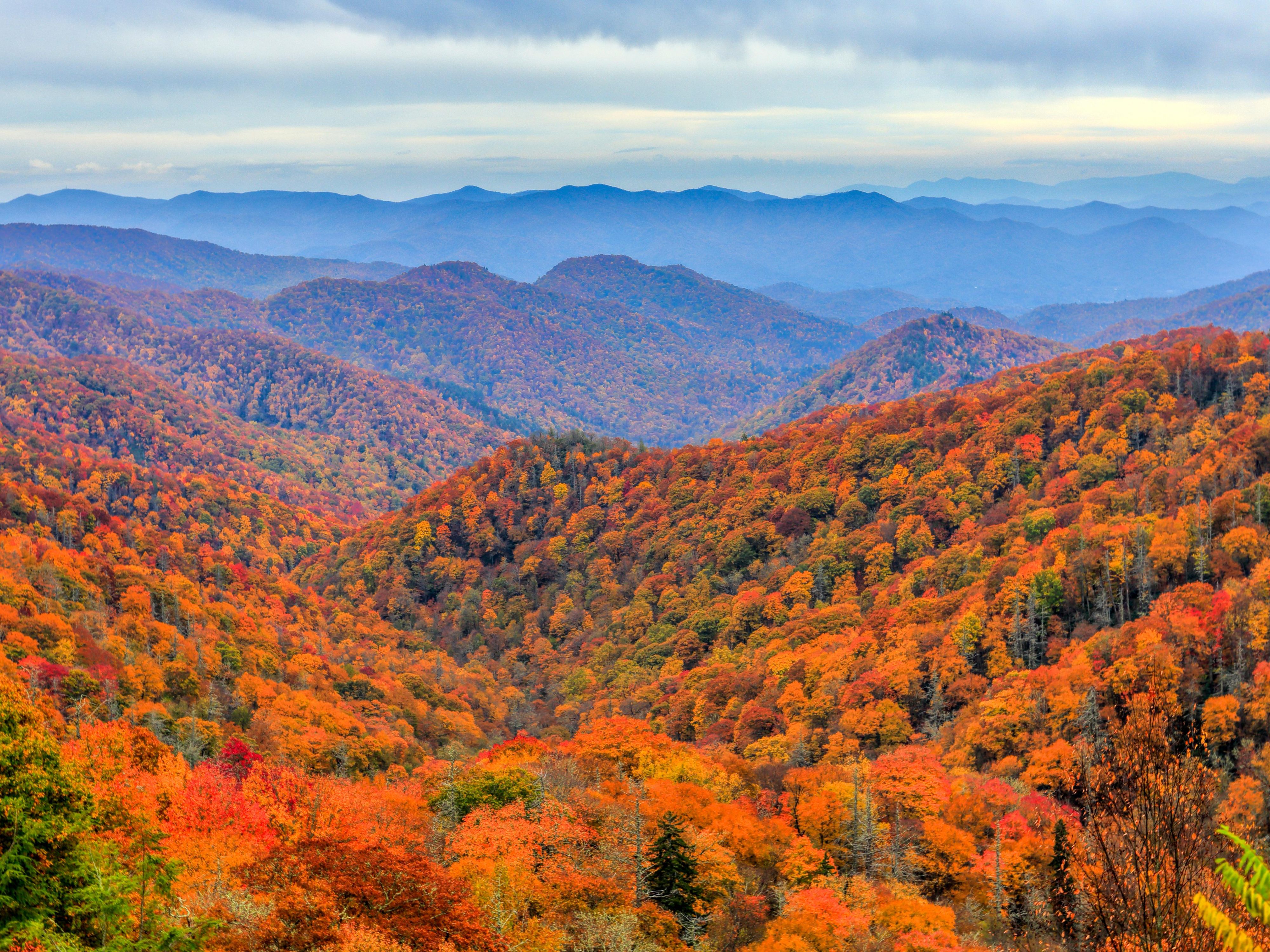 Experience the breathtaking beauty of Asheville this fall, where vibrant foliage transforms the Blue Ridge Mountains into a stunning tapestry of reds, oranges, and yellows. Explore scenic drives, charming downtown shops, and cozy cafes, while soaking in the crisp autumn air. Discover why Asheville is the perfect destination for your fall getaway. 