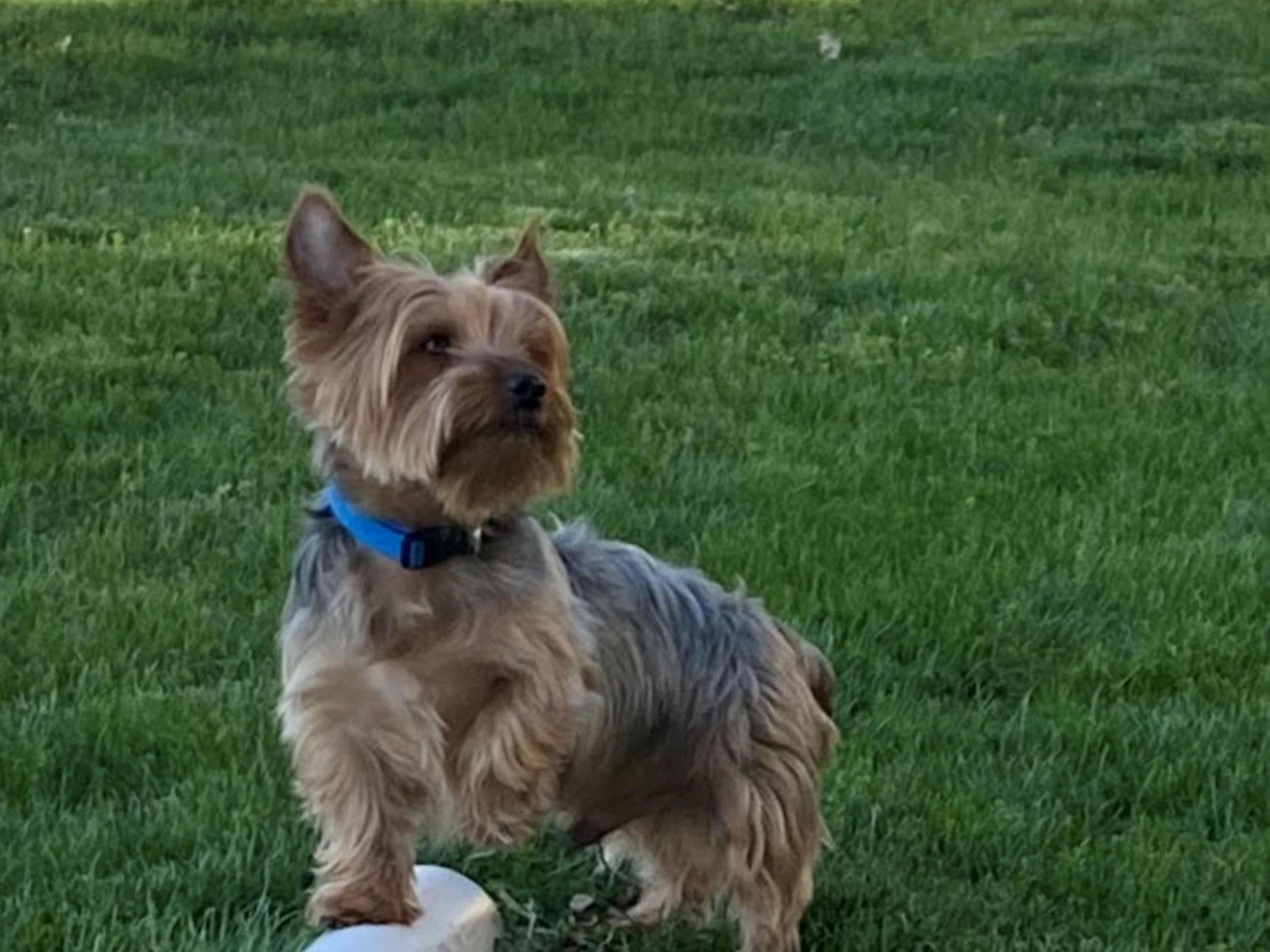 We love our pets! Be sure to bring them along. No pet left behind!