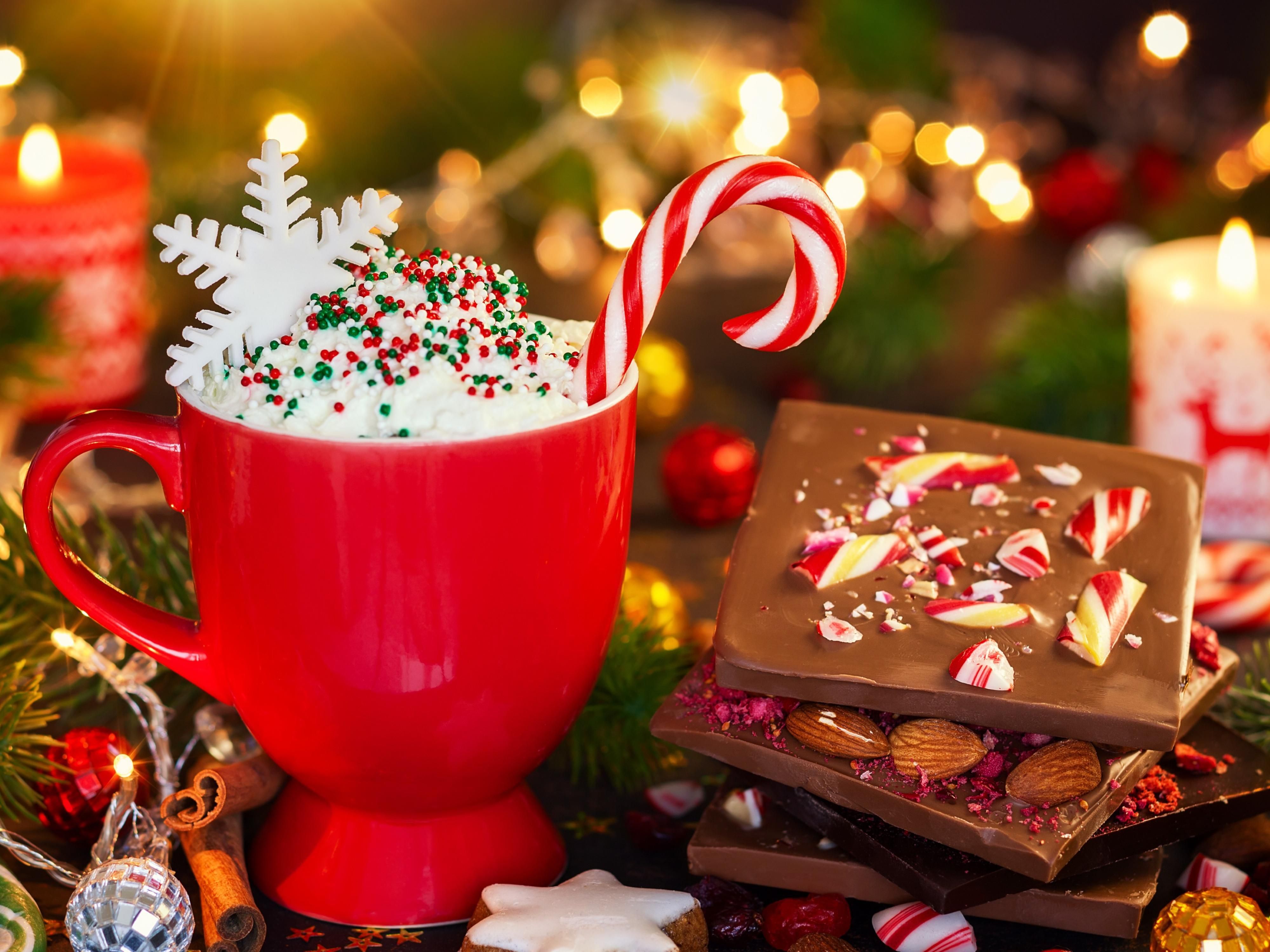 Celebrate the season in Belmont with festive community favorites including Santa at the Firehouse, the Belmont Police Santa Parade, and the Winter Wonderland Workshop. Enjoy crafts, music, treats, and family fun, all just minutes from the hotel in the heart of the Bay Area.